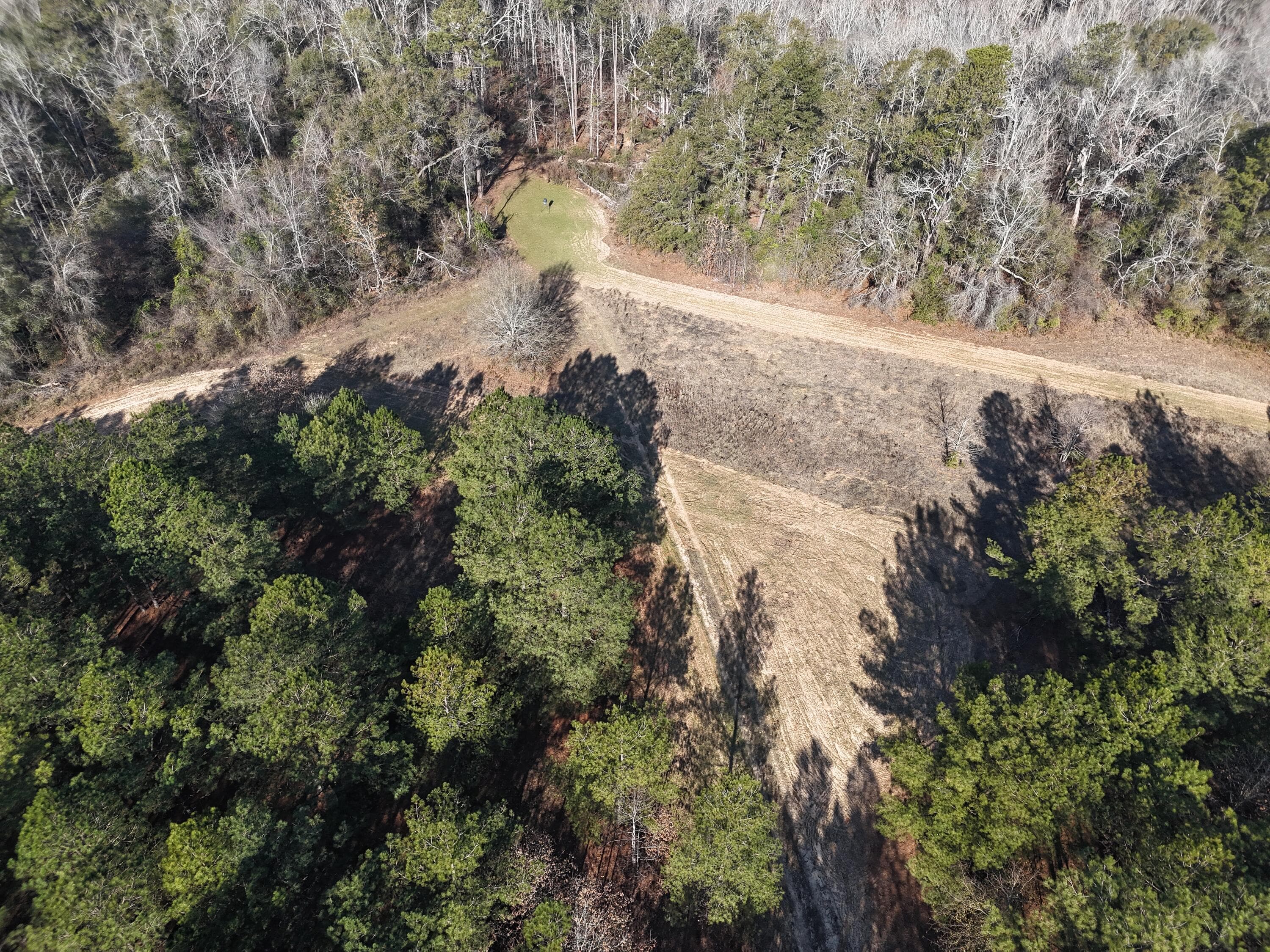 Undeveloped at 0 Ponderosa Road, Waynesboro, GA 30830, photo 9 of 45