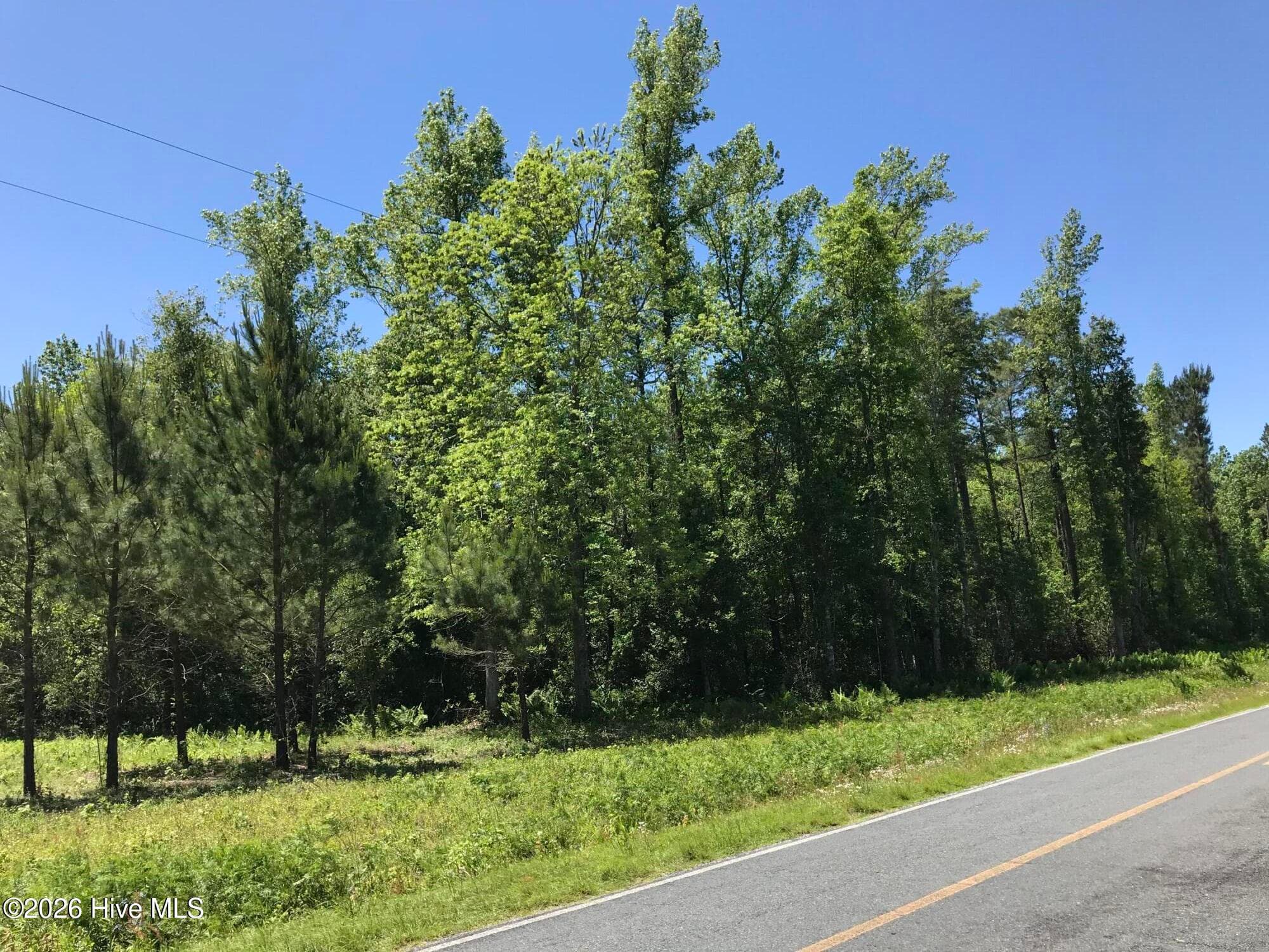 Mixed Use at 0 2 & 3 Little Prong Road NW, Ash, NC 28420, photo 3 of 7