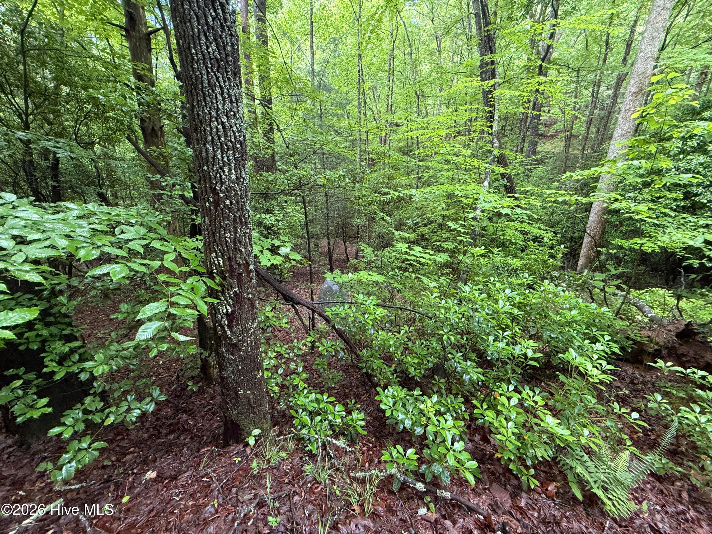 Residential Lot at Lot 28 Atoah Loop, Murphy, NC 28906, photo 12 of 15