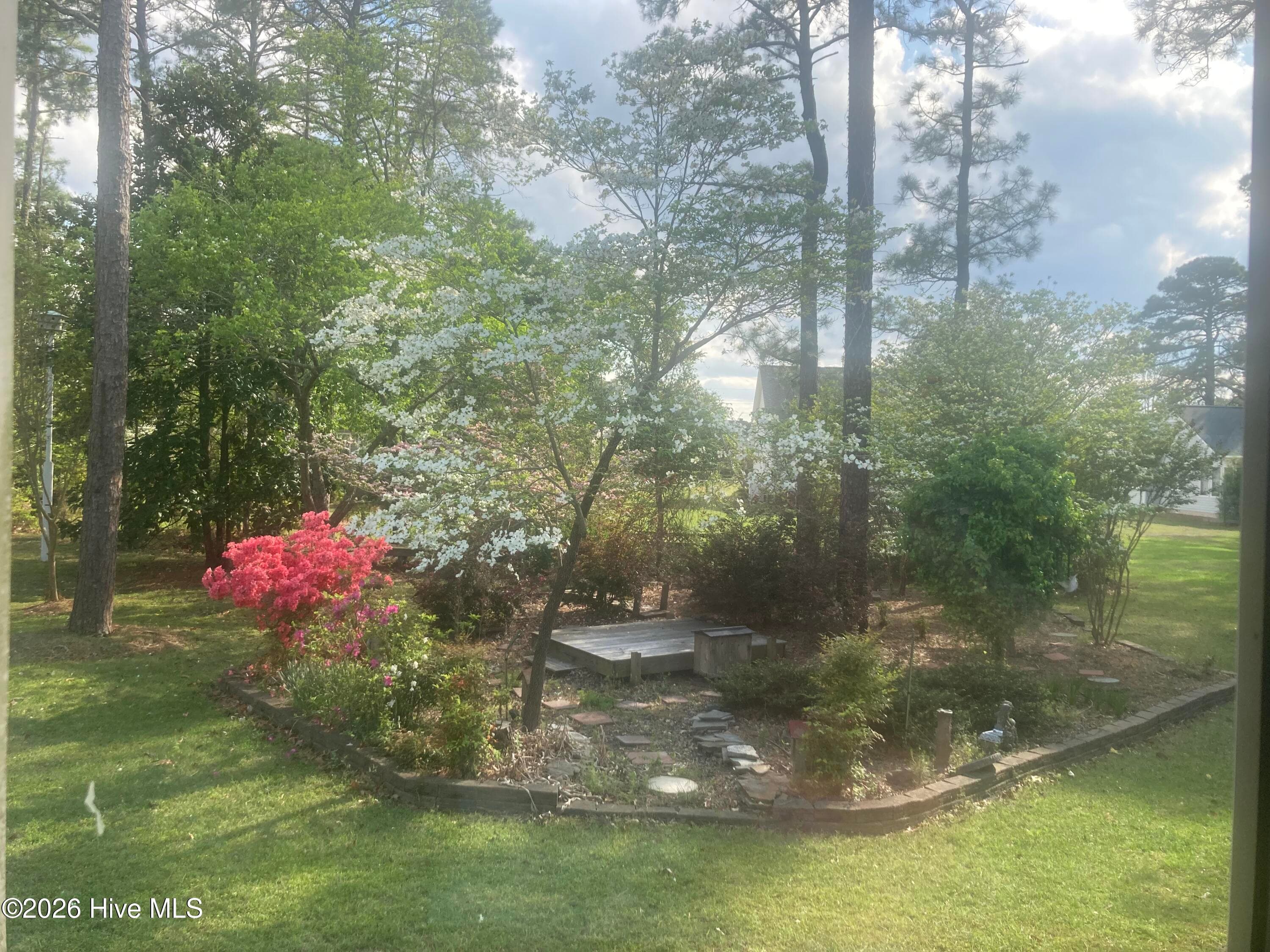 Garden in bloom - 5914 Santo Domingo Court, New Bern, NC 28560