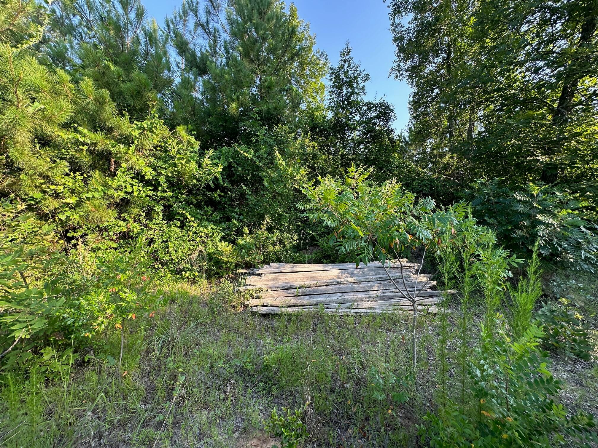 Undeveloped at 2576 Jessie James Pond Road, Wrens, GA 30833, photo 21 of 56