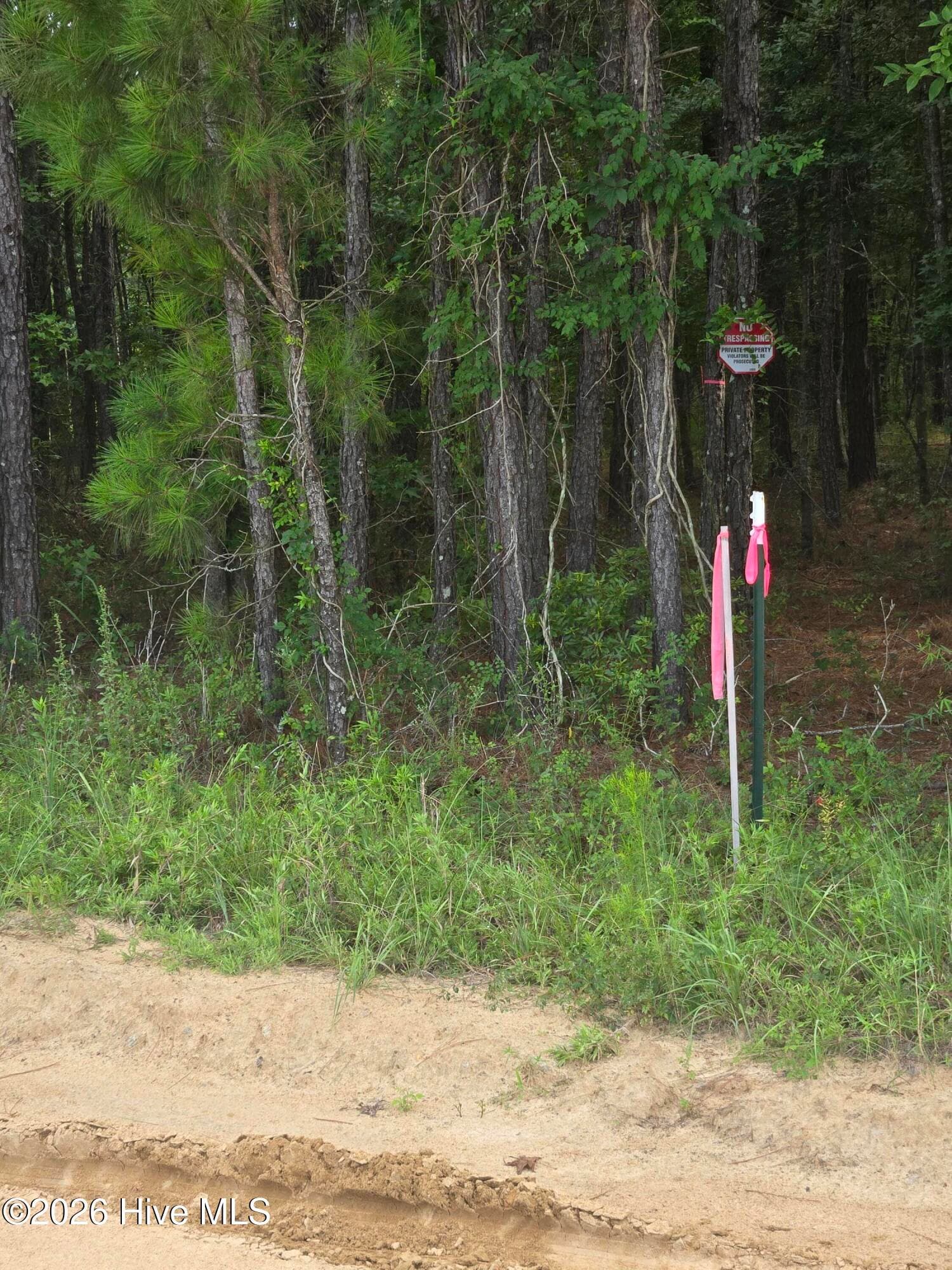Residential Lot at 0 Netherland Road, Midville, GA 30441, photo 6 of 6