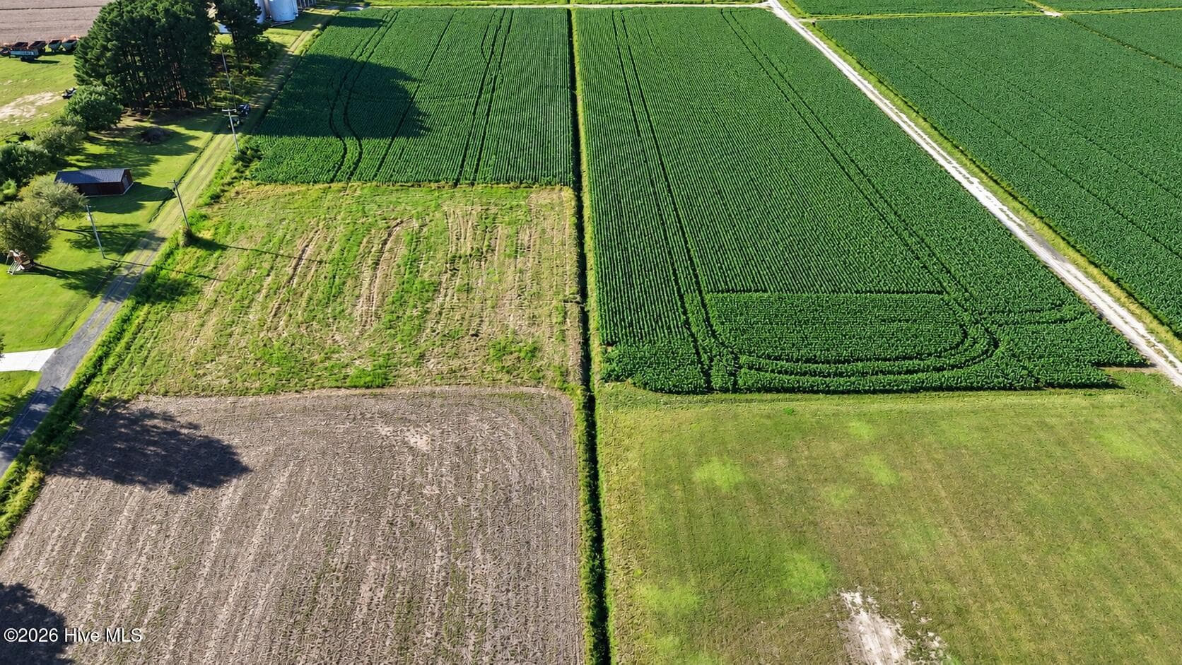 Agriculture at 617 1 Meadstown Road, Elizabeth City, NC 27909, photo 4 of 14