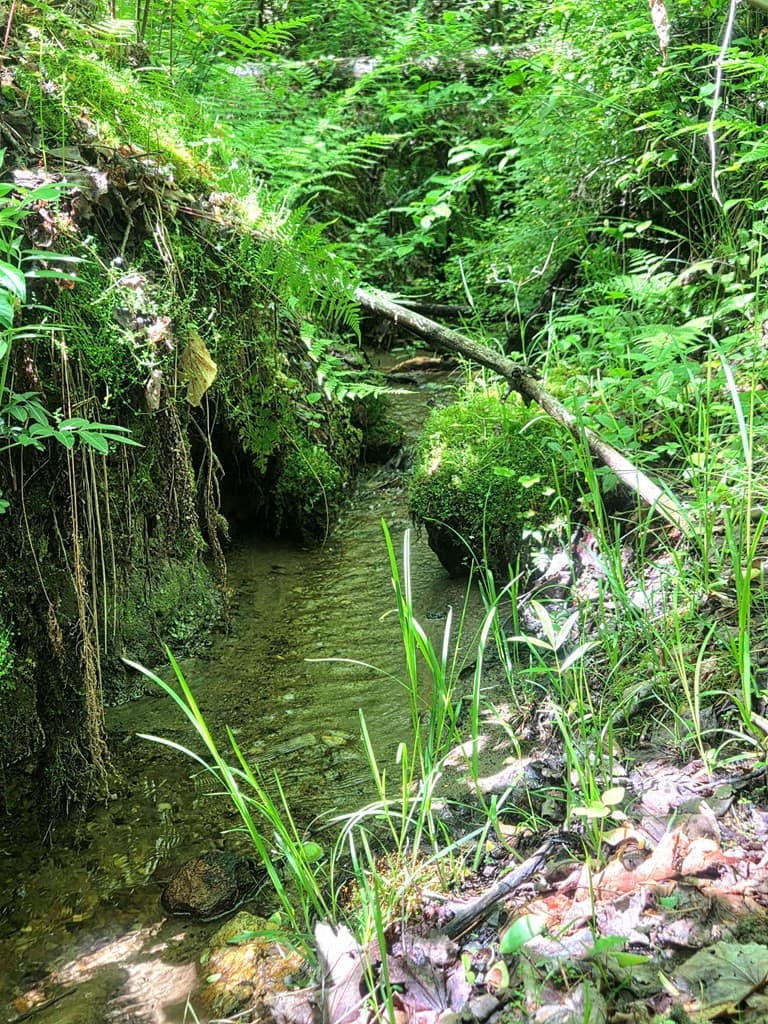 Undeveloped at 00 Vincent Colvin Road, Robbinsville, NC 28771, photo 10 of 18