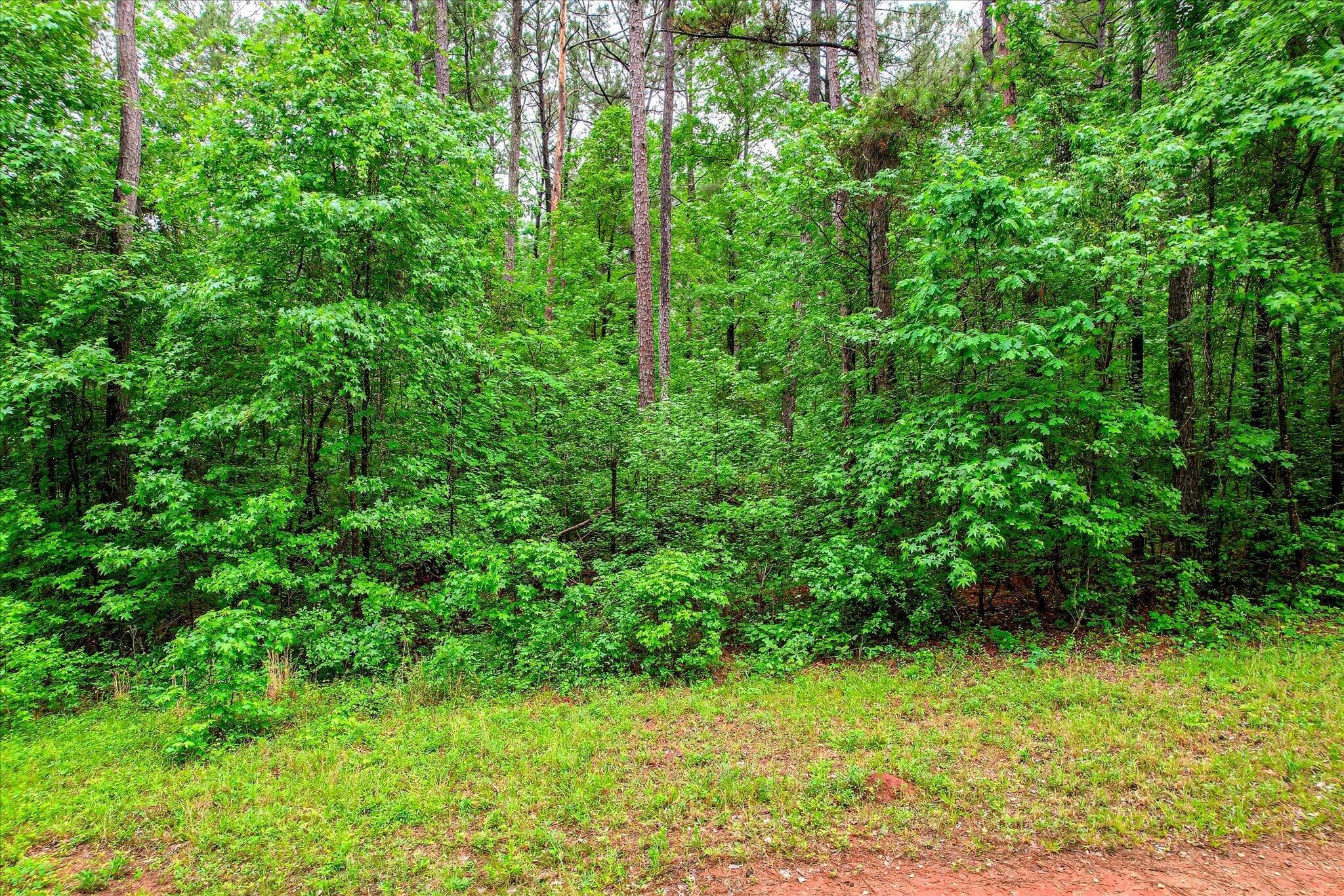 Residential Lot at 1622 Hinton Wilson Road, Harlem, GA 30814, photo 3 of 16