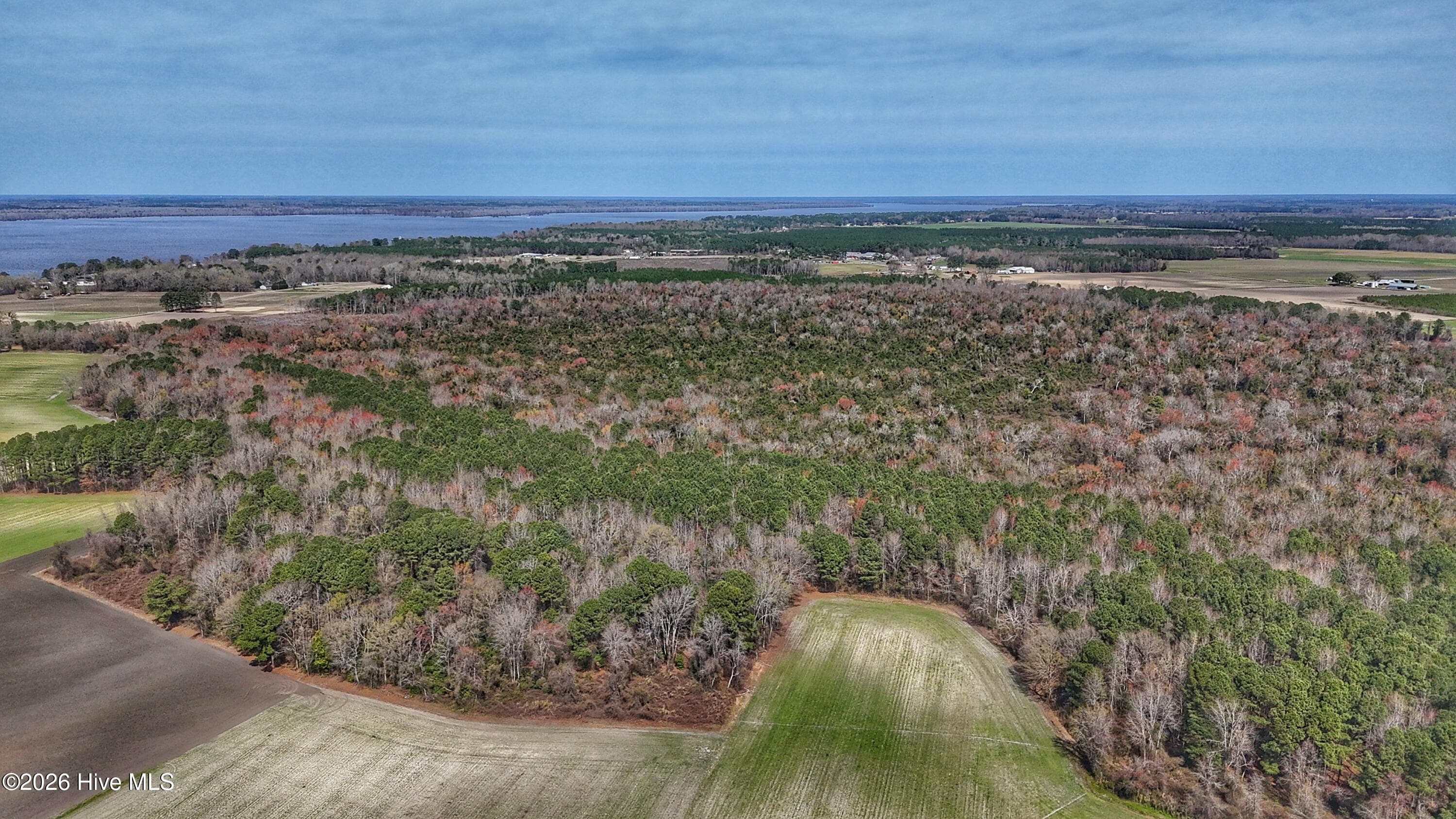 Wooded at 1612 Rocky Hock Landing Road, Edenton, NC 27932, photo 27 of 45