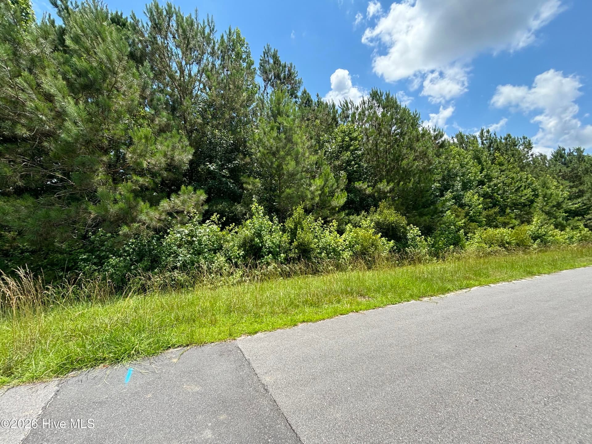 0 Progress Drive, Burgaw, NC 28425