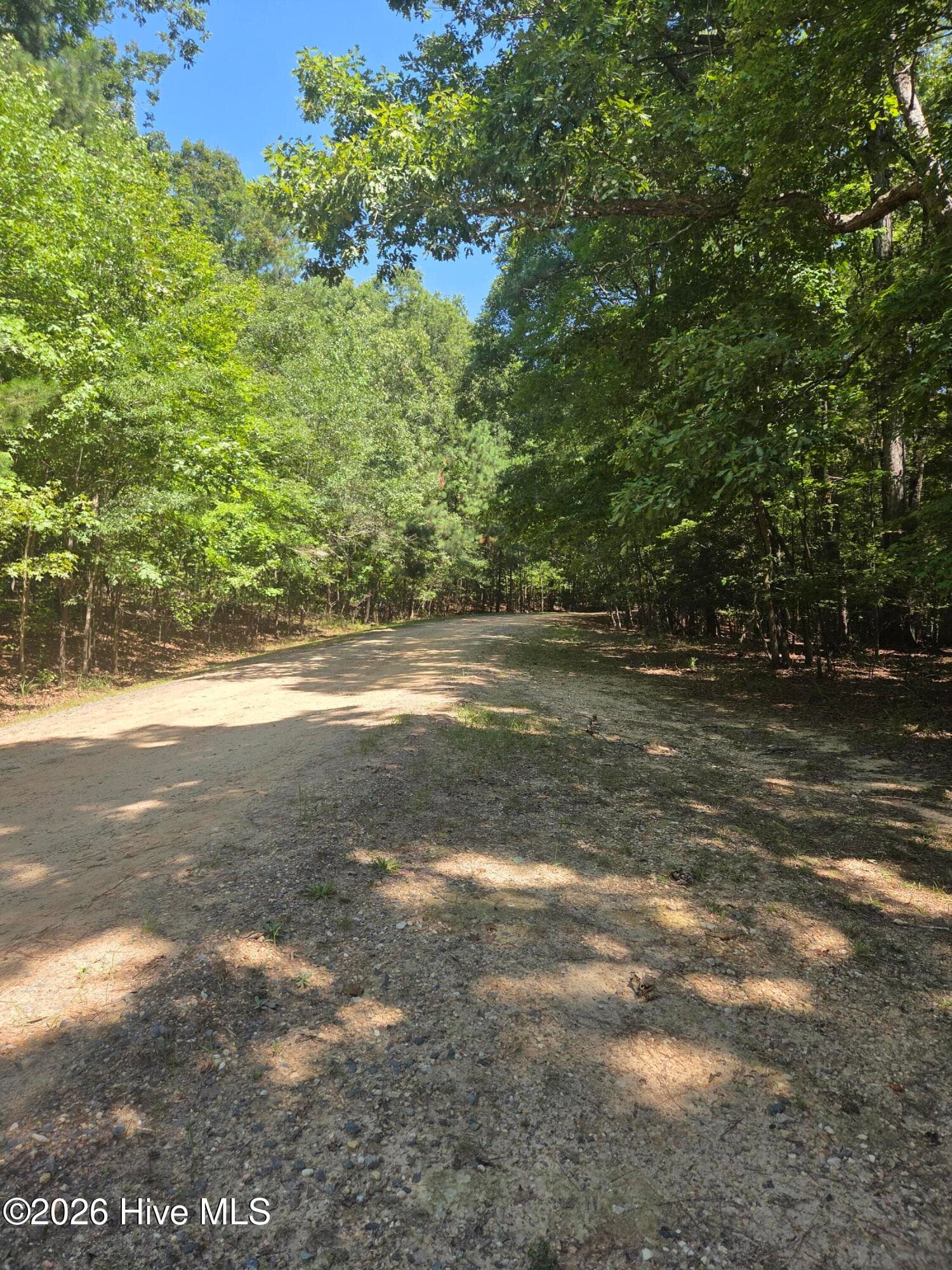 Residential Lot at Lot 45b 45B Appaloosa Lake Drive, Carthage, NC 28327, Carthage, photo 8 of 19