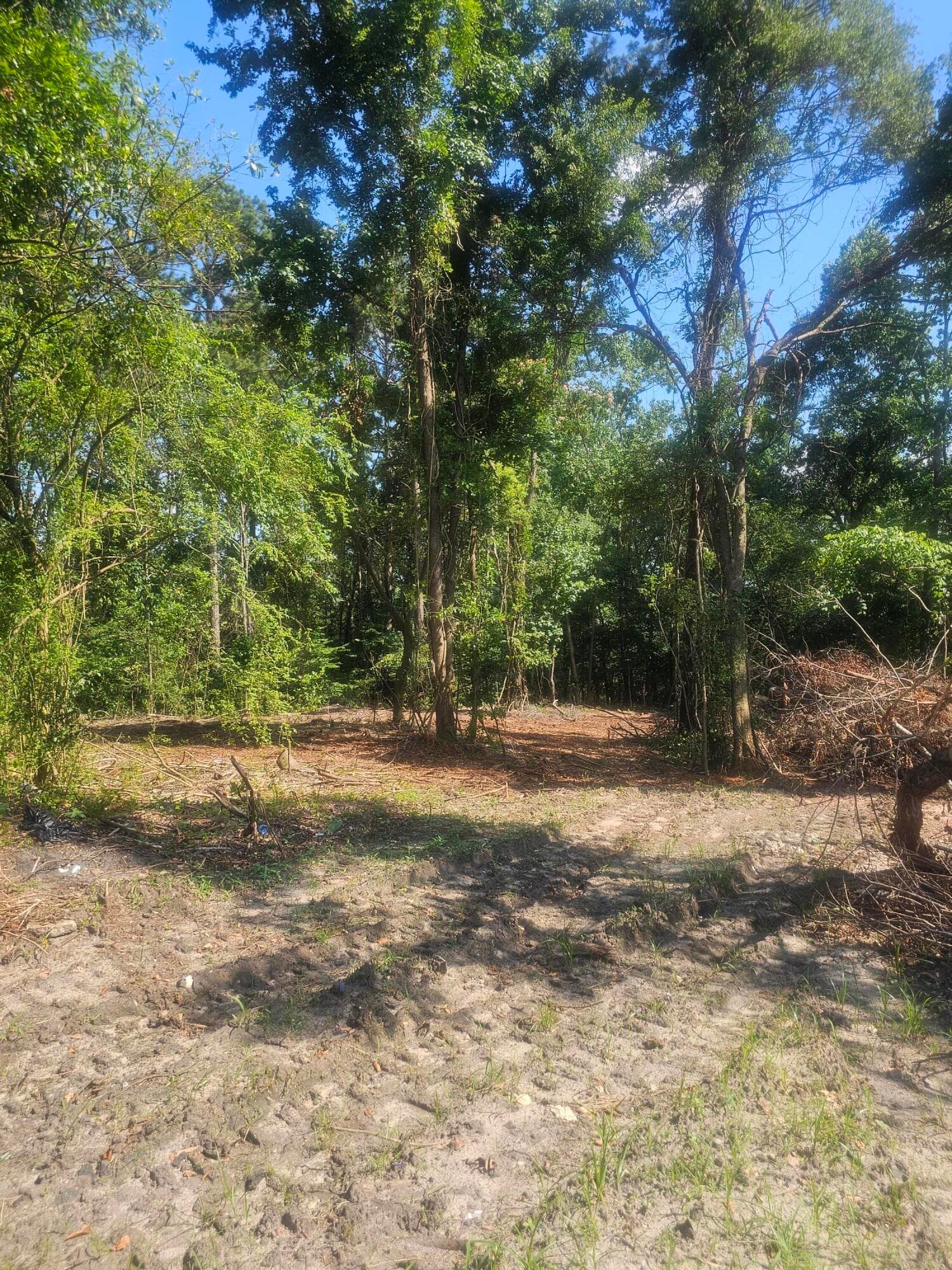 Residential Lot at 470 Forrest Drive, Louisville, GA 30434, photo 4 of 6