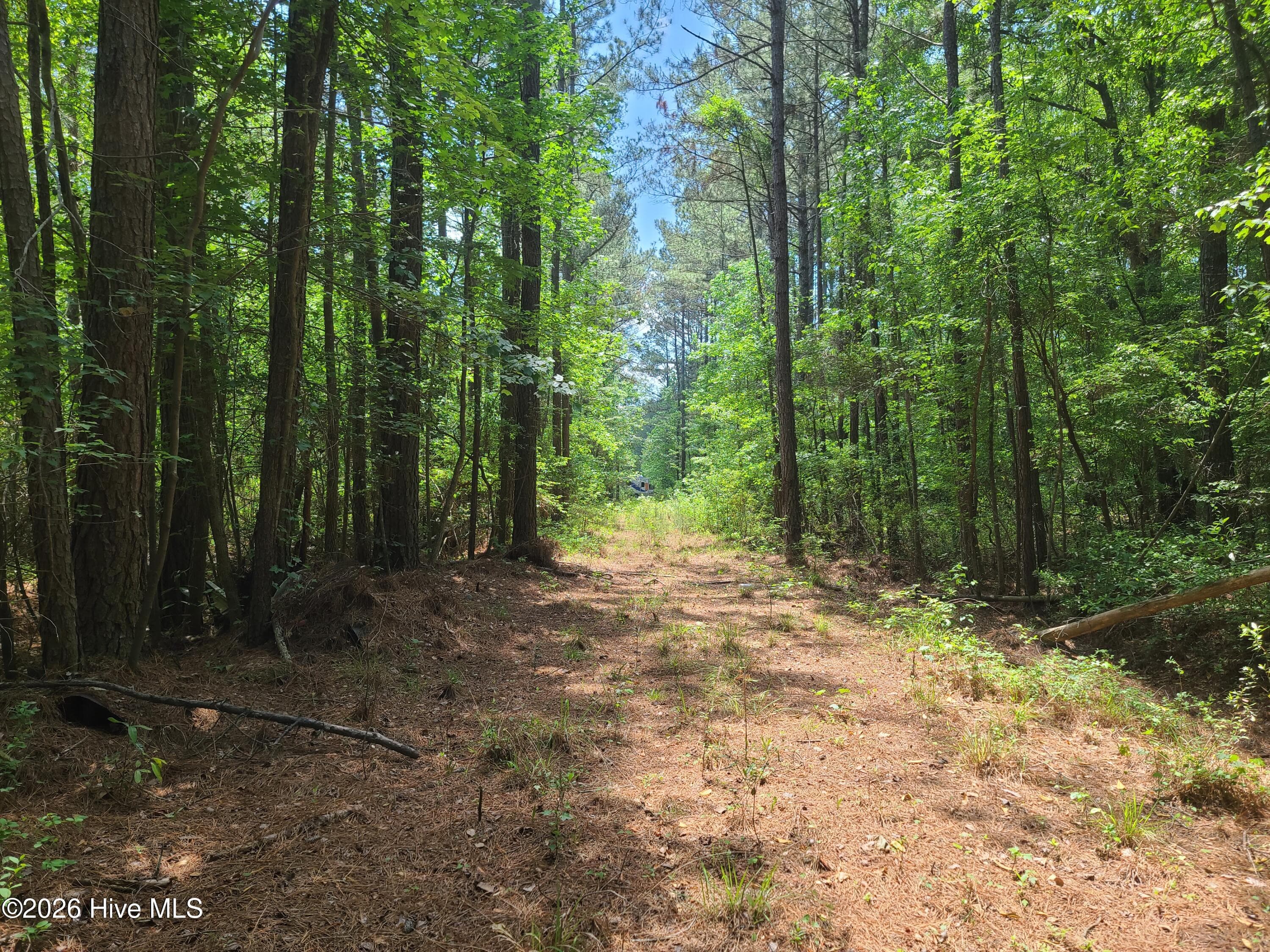 Wooded at 55 55 Mable Street, Kinston, NC 28504, photo 4 of 4