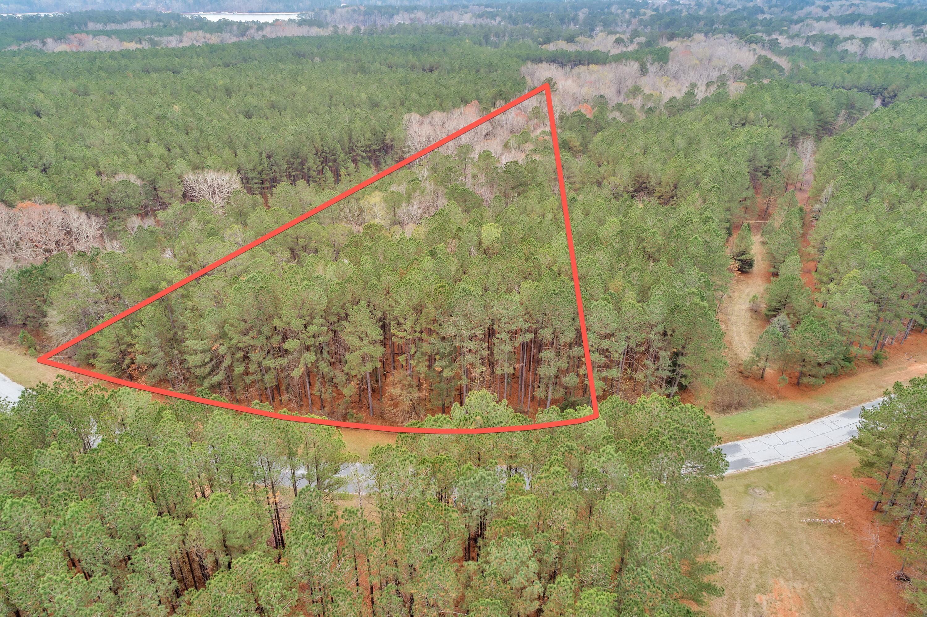Residential Lot at 1252 294 Rogers Road, Tignall, GA 30668, photo 22 of 29