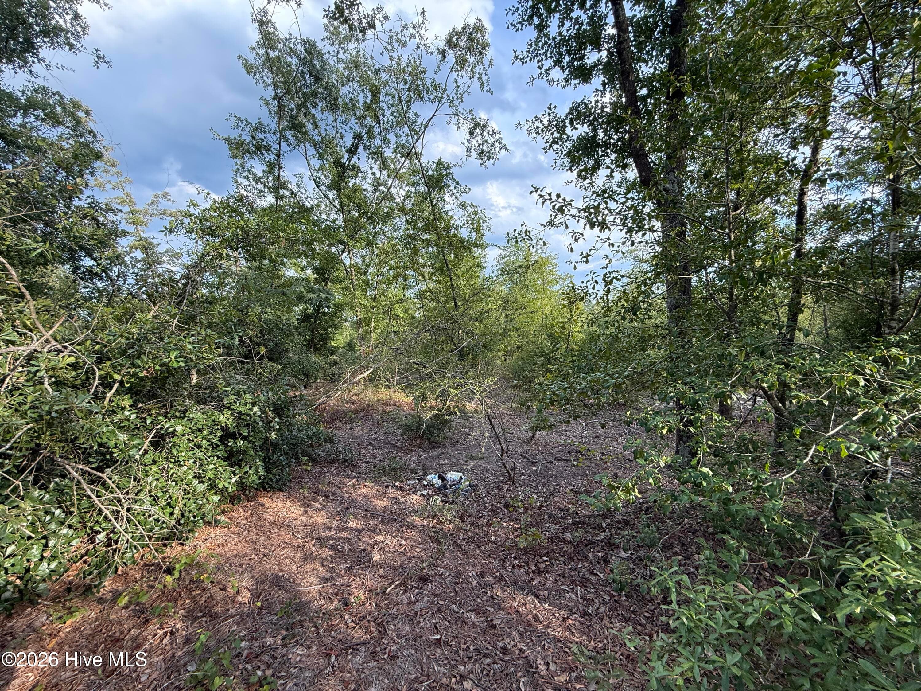 Undeveloped at 1576 Hephzibah - Mcbean Road, Hephzibah, GA 30815, photo 4 of 4