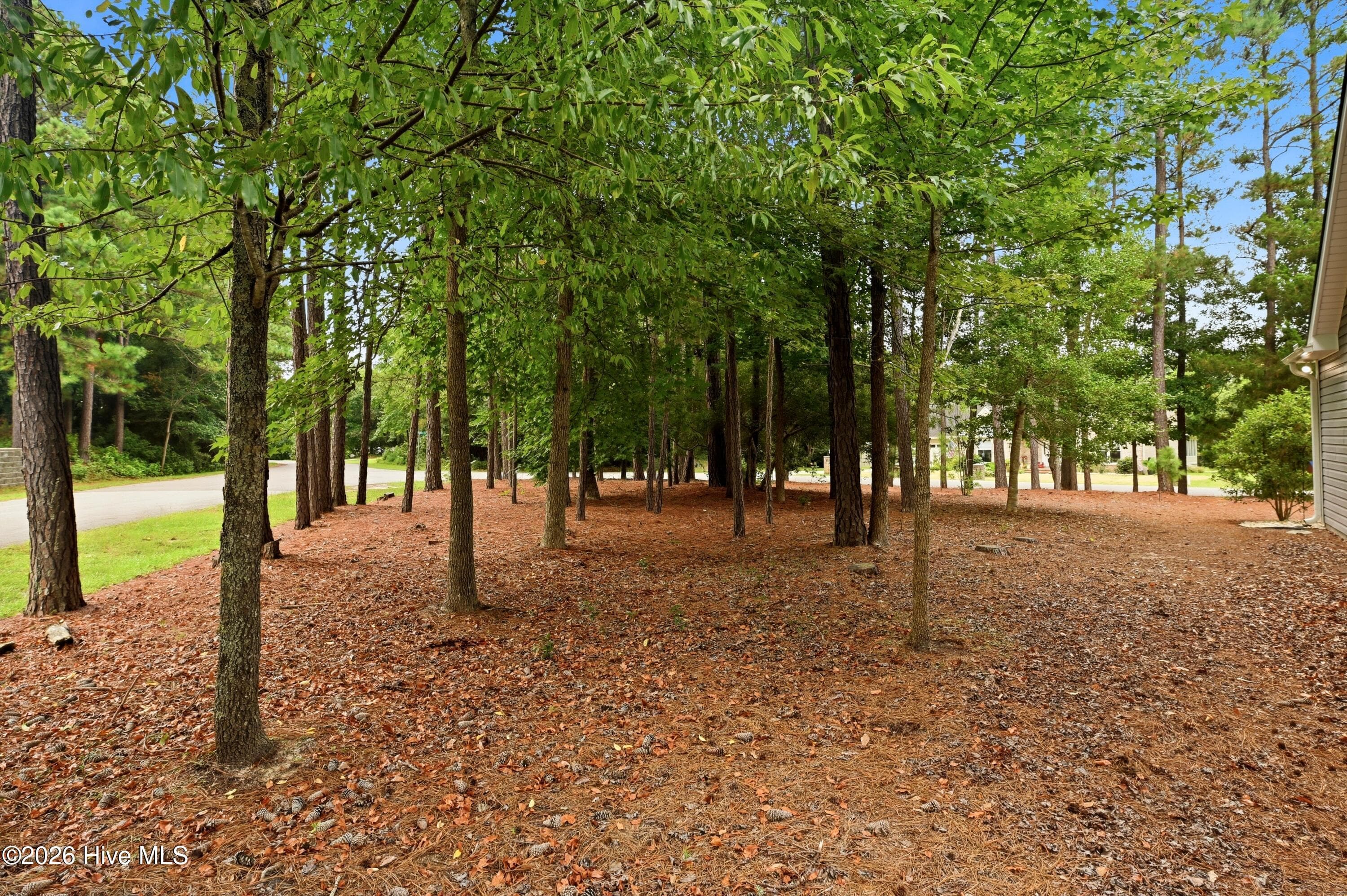 Private Backyard - 100 Hickory Circle, Hampstead, NC 28443