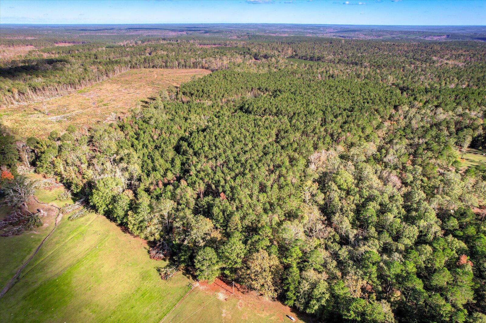 Undeveloped at Tbd2 Sc-23, Edgefield, SC 29824, photo 14 of 41