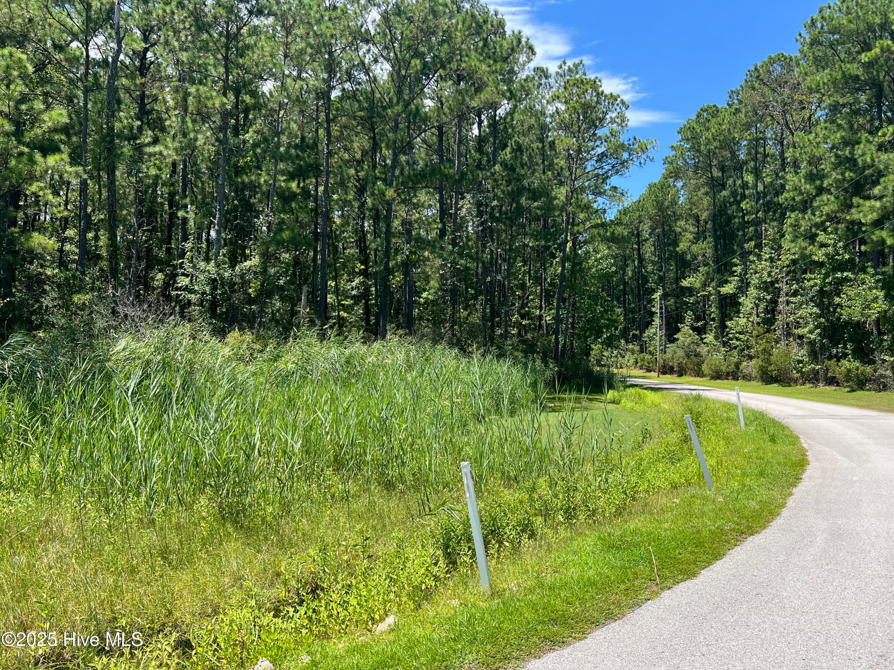Residential Lot at 9918 Canady Landing Road, Aurora, NC 27806, photo 7 of 12