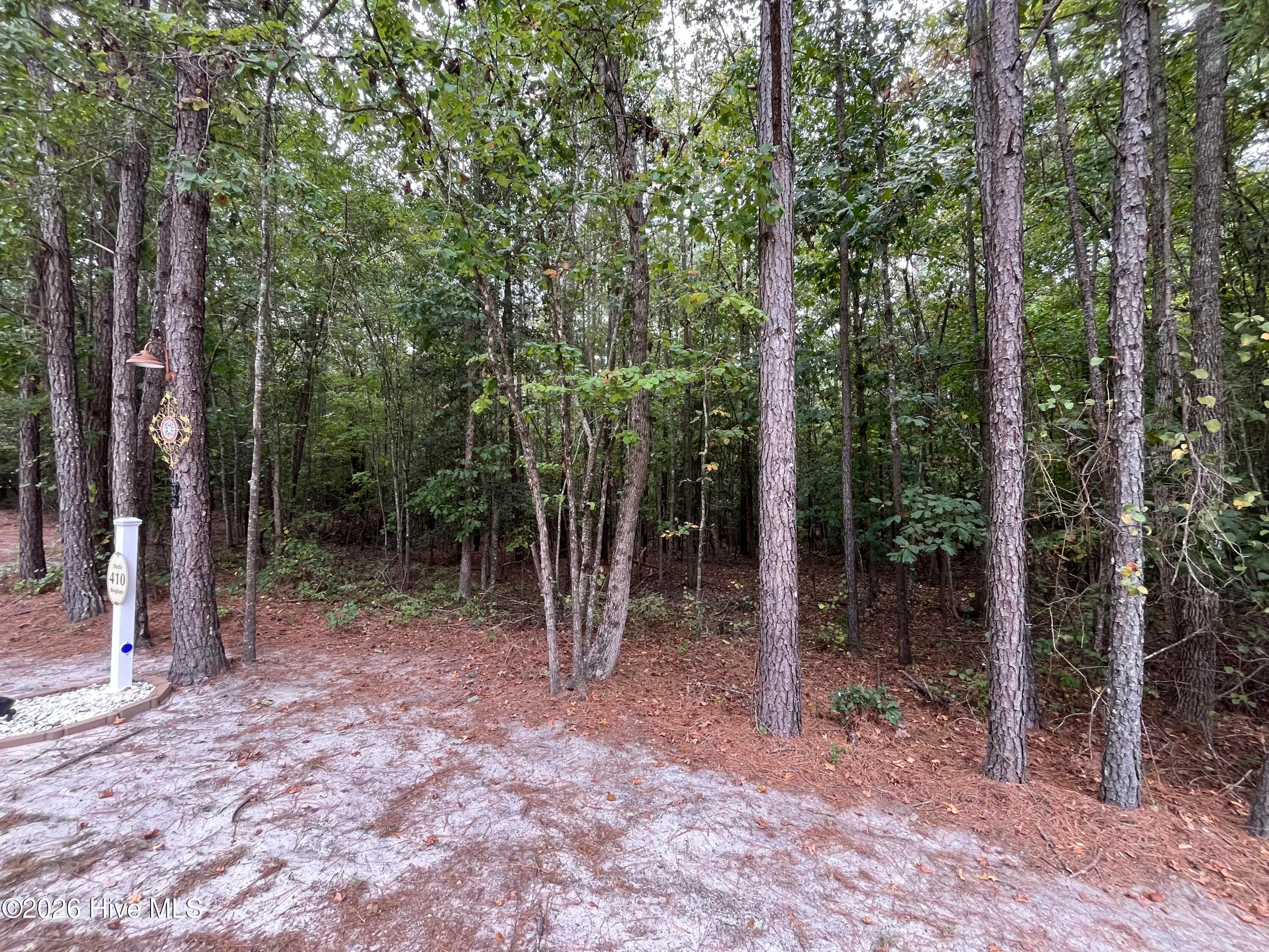 Residential Lot at 410 5 Bingham Street, Carthage, NC 28327, photo 2 of 10
