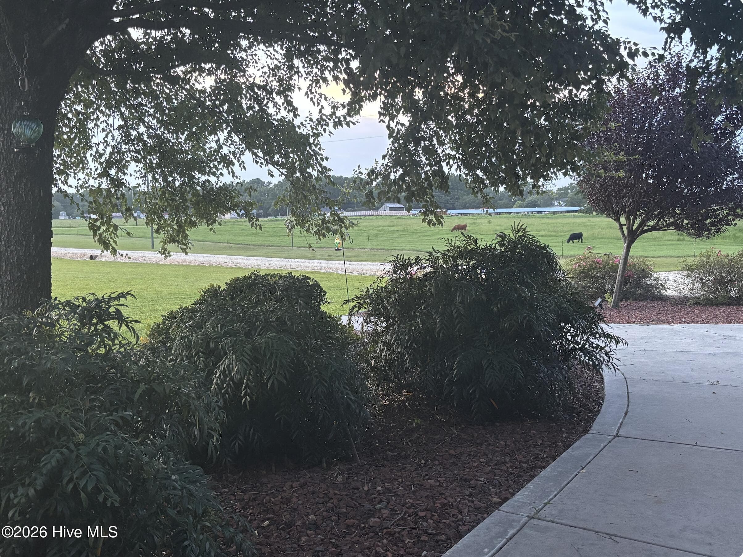 From Front Porch looking at the pasture with farm animals. - 642 Enoch Road, Clinton, NC 28328