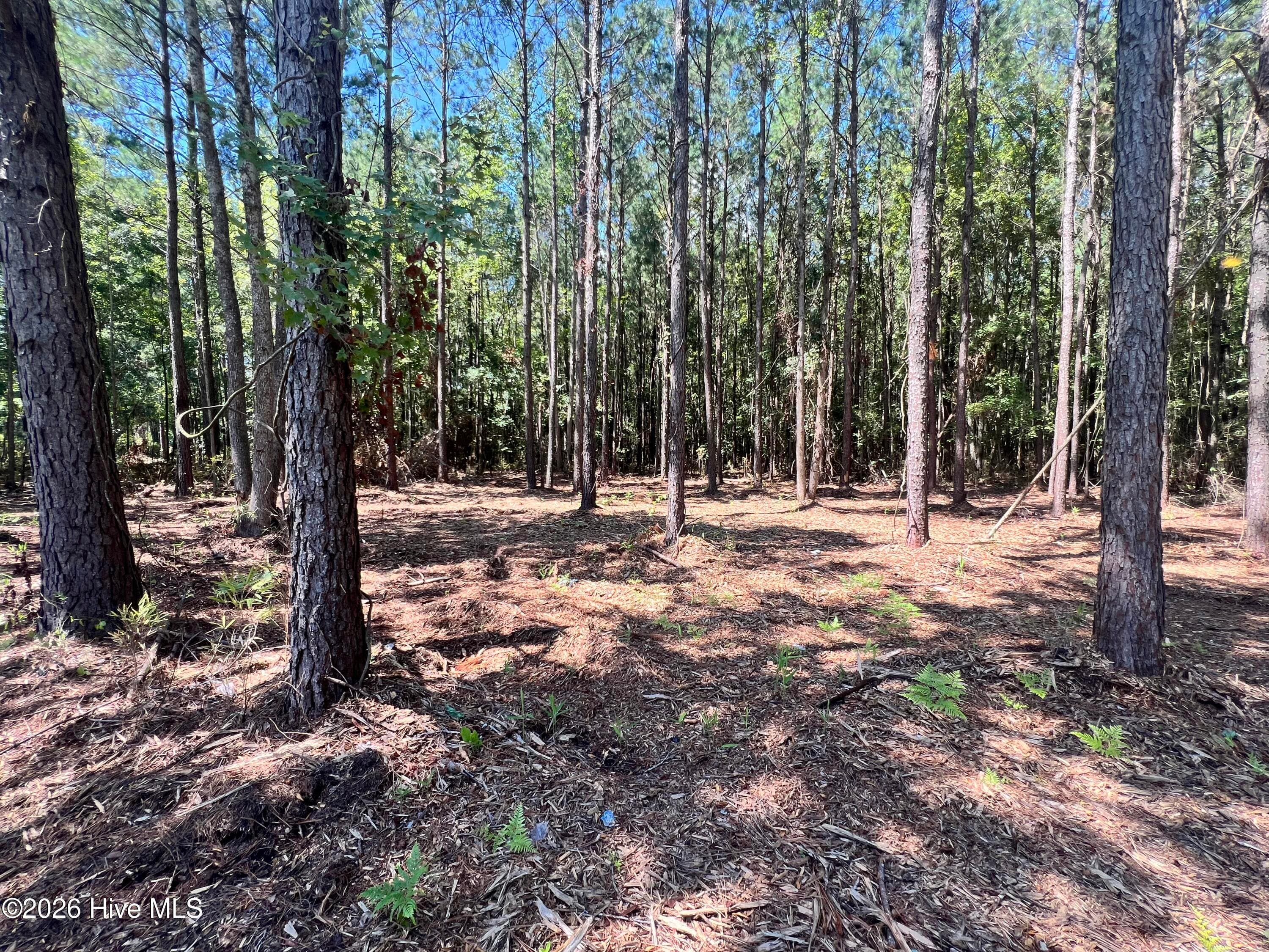 Residential Lot at Lot 3 Elm Street, Belhaven, NC 27810, photo 4 of 6