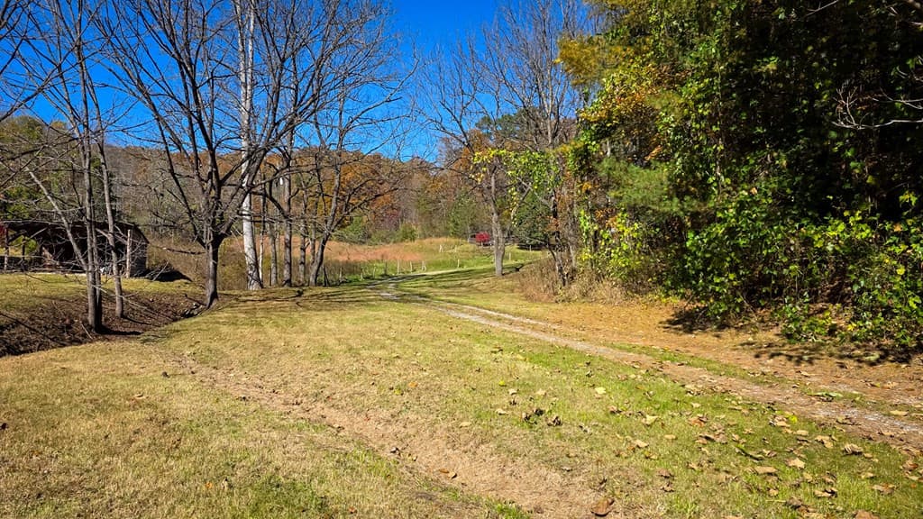 Commercial Sale at 173&130 Edwards Cove Road, Bryson City, NC 28713, photo 13 of 15