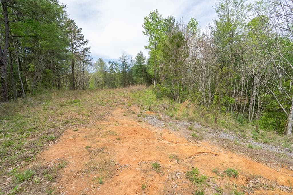 Wooded at 125 Milk And Honey Drive, Murphy, NC 28902, photo 18 of 23