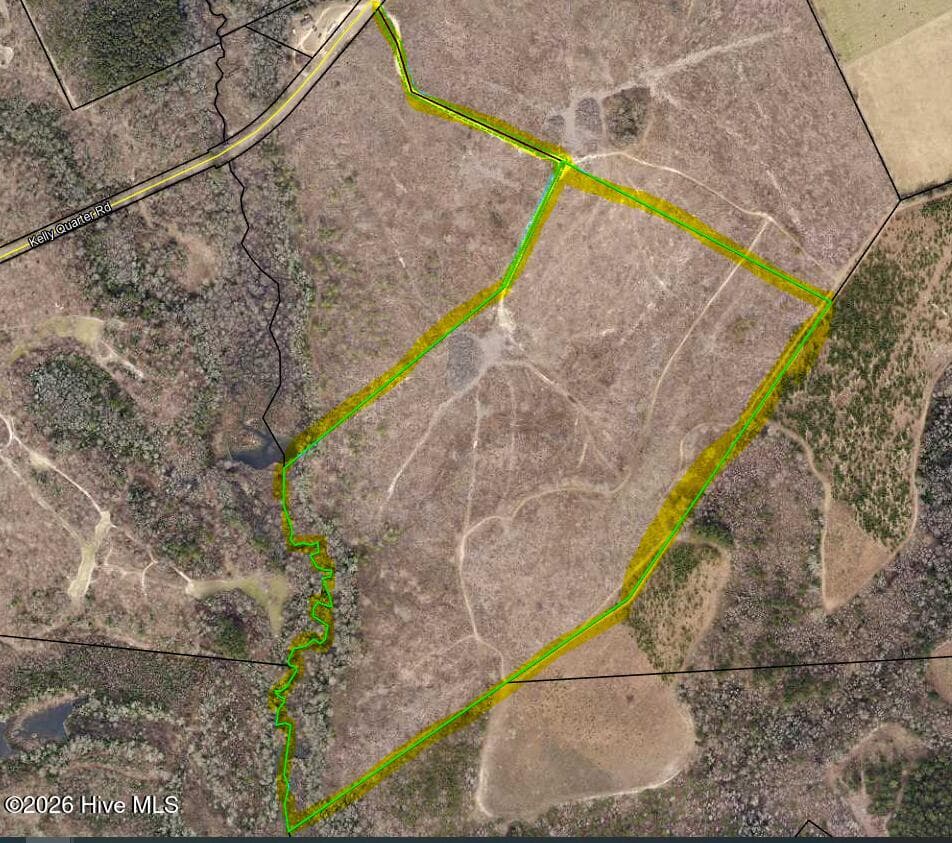 Undeveloped at 0 Pughsley Road, Stapleton, GA 30823, photo 8 of 13