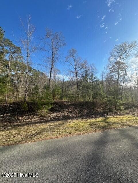 Residential Lot at 607 Pamlico River Drive, Washington, NC 27889, photo 9 of 20