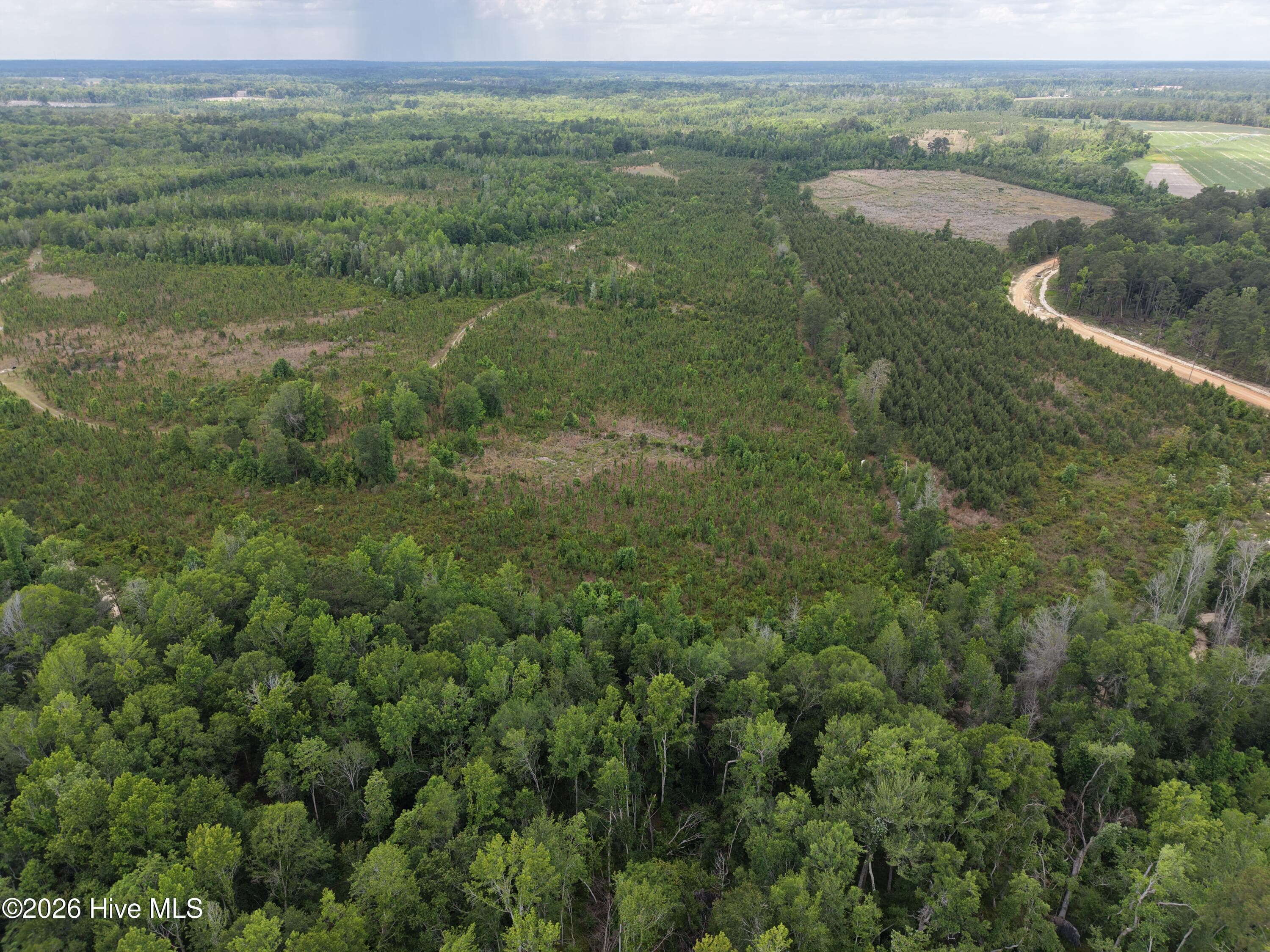 Agriculture at 0 S Hwy 129, Metter, GA 30439, photo 5 of 16