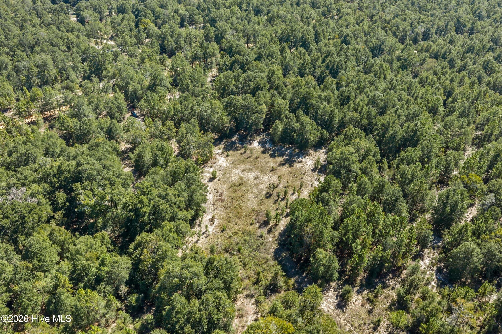 Residential Lot at 000.0 Mary Rawls Road, Wagener, SC 29164, photo 7 of 21