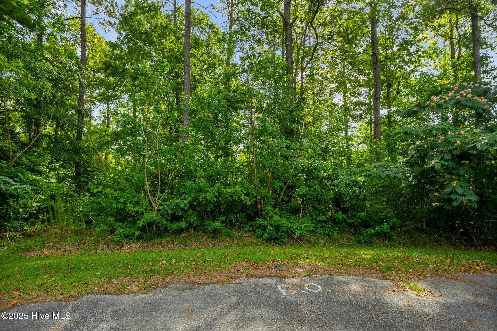 Undeveloped at 178 114 Marsh Run, Oriental, NC 28571, photo 21 of 28