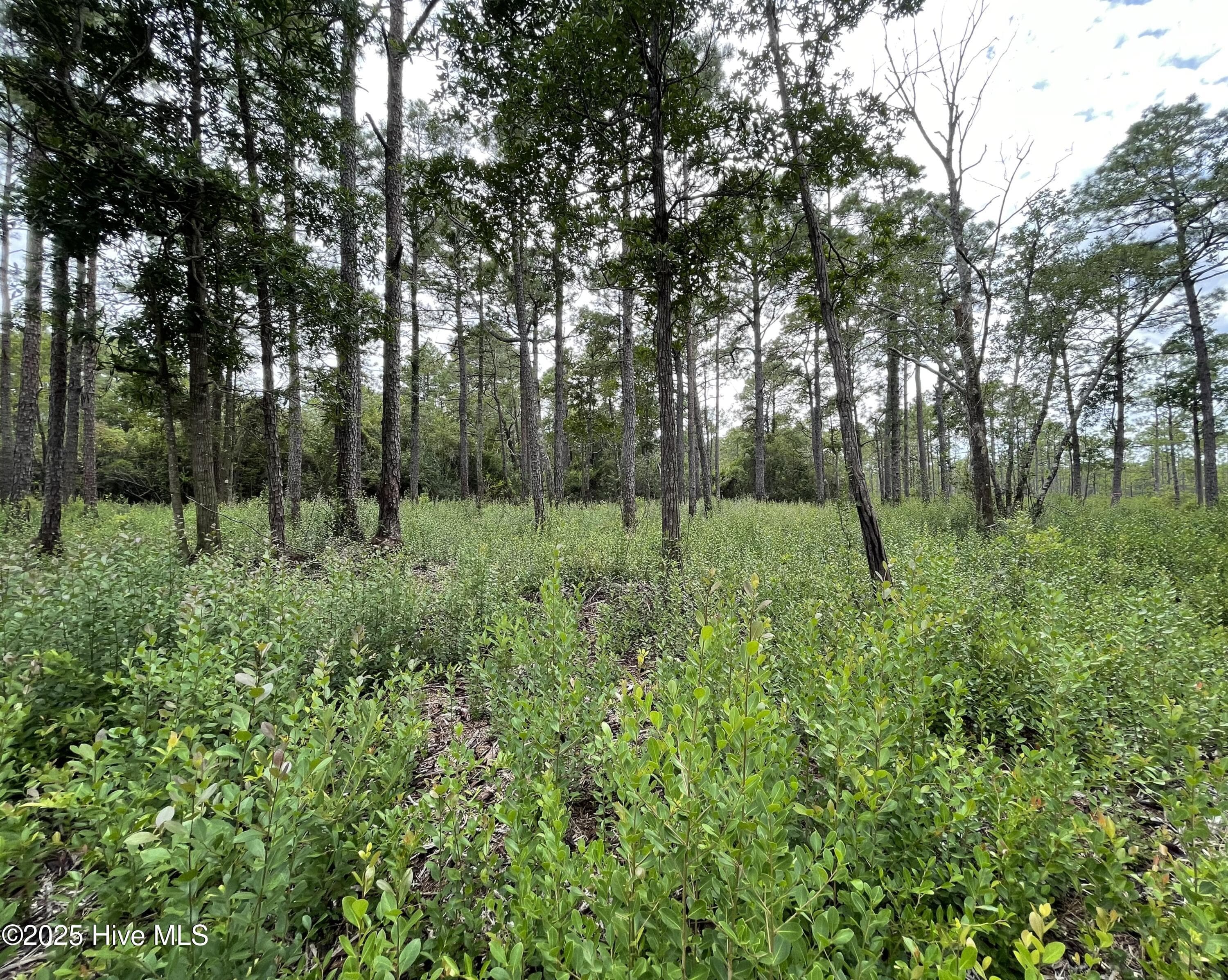 Residential Lot at 811 Brittany Road, Southport, NC 28461, photo 11 of 25