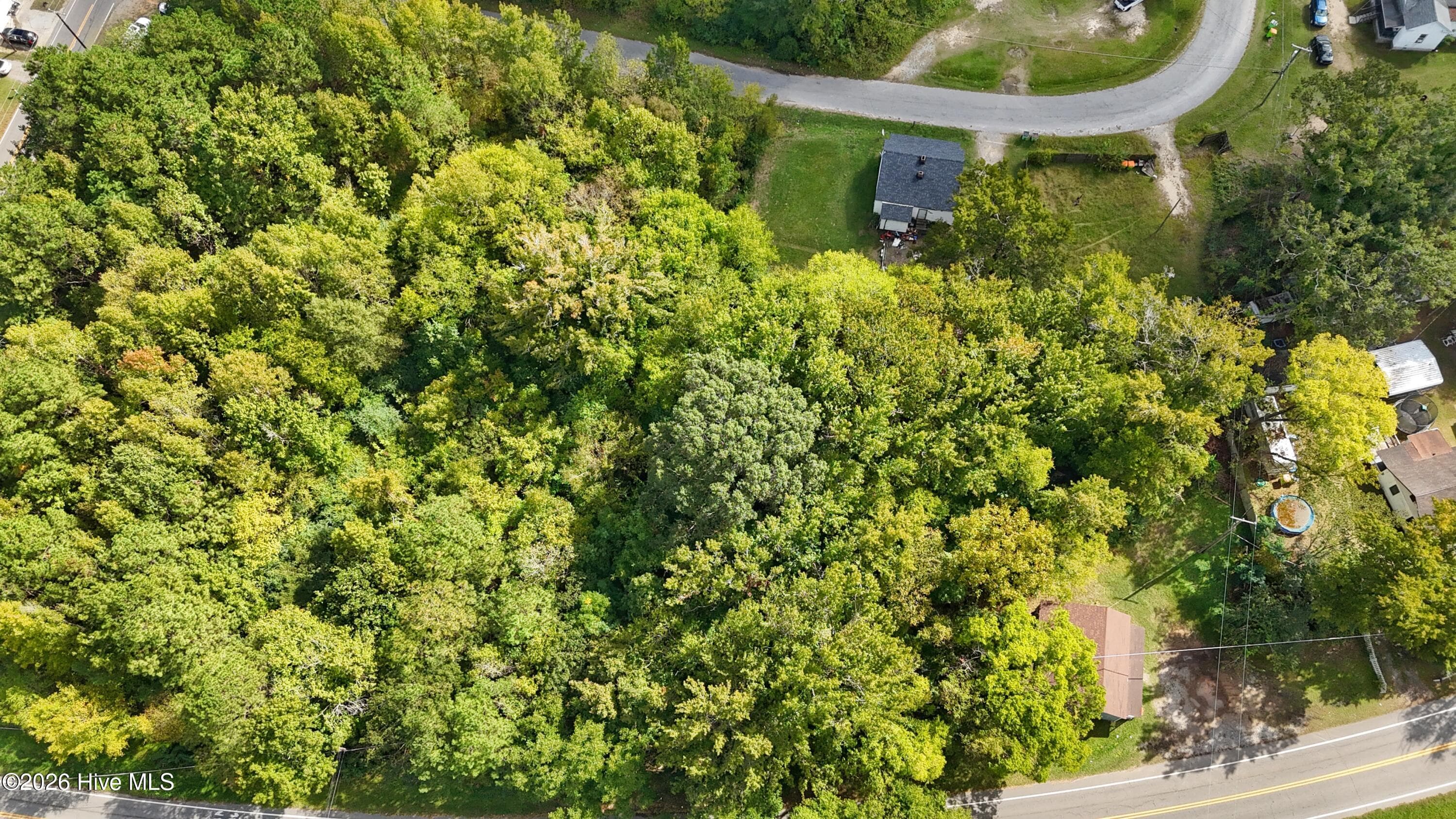 Residential Lot at 30 30, 48, 35, 39 E 11th Street, Weldon, NC 27890, Weldon, photo 14 of 16