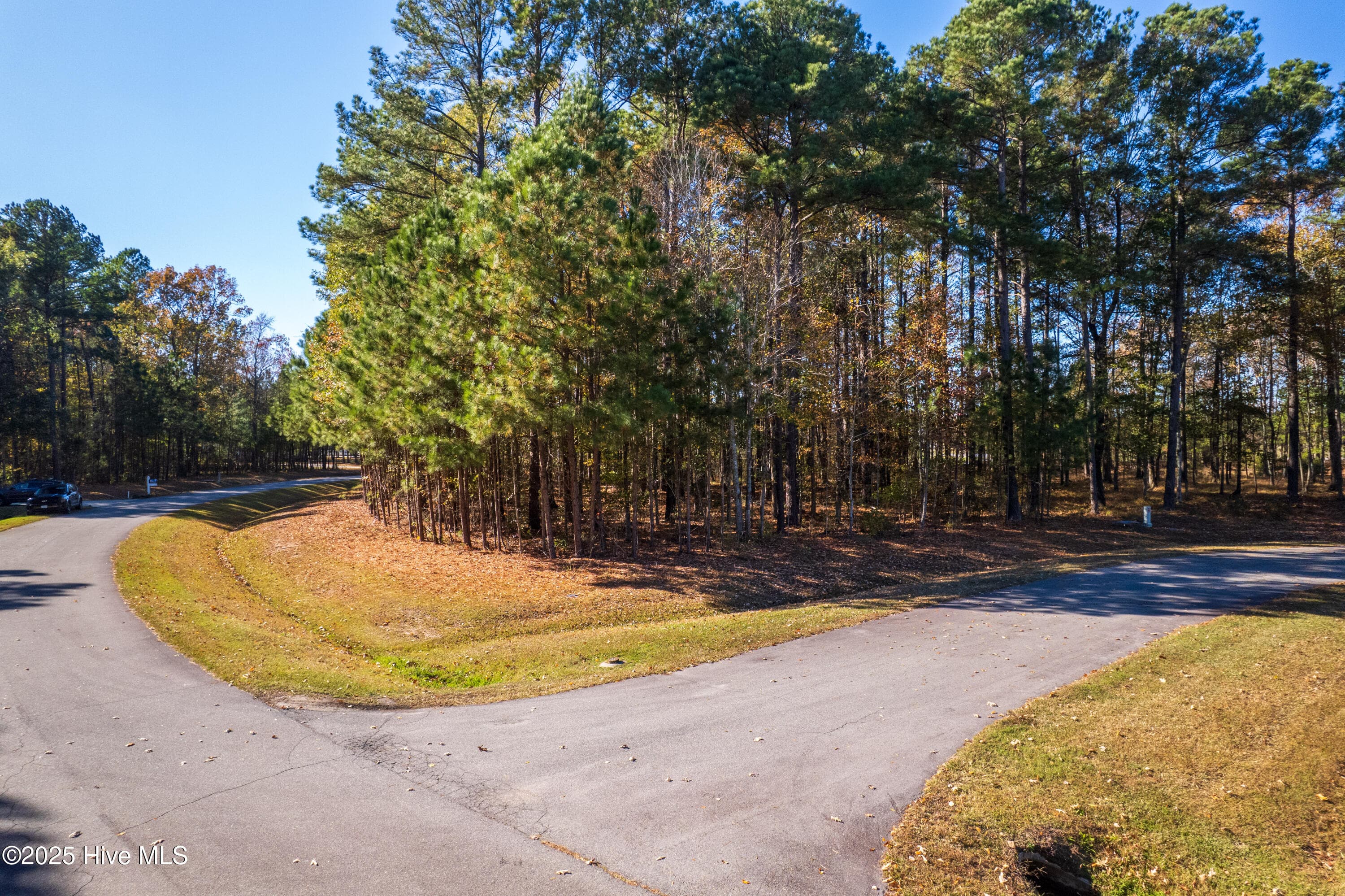 Wooded at 65 JJ65 Standard Bred Way, Hertford, NC 27944, photo 2 of 8