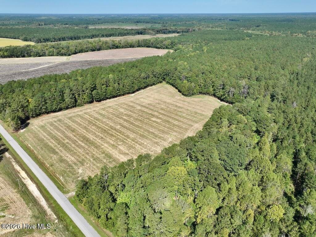Mixed Use at 0 Spring Hill Road, Scotland Neck, NC 27874, photo 8 of 93