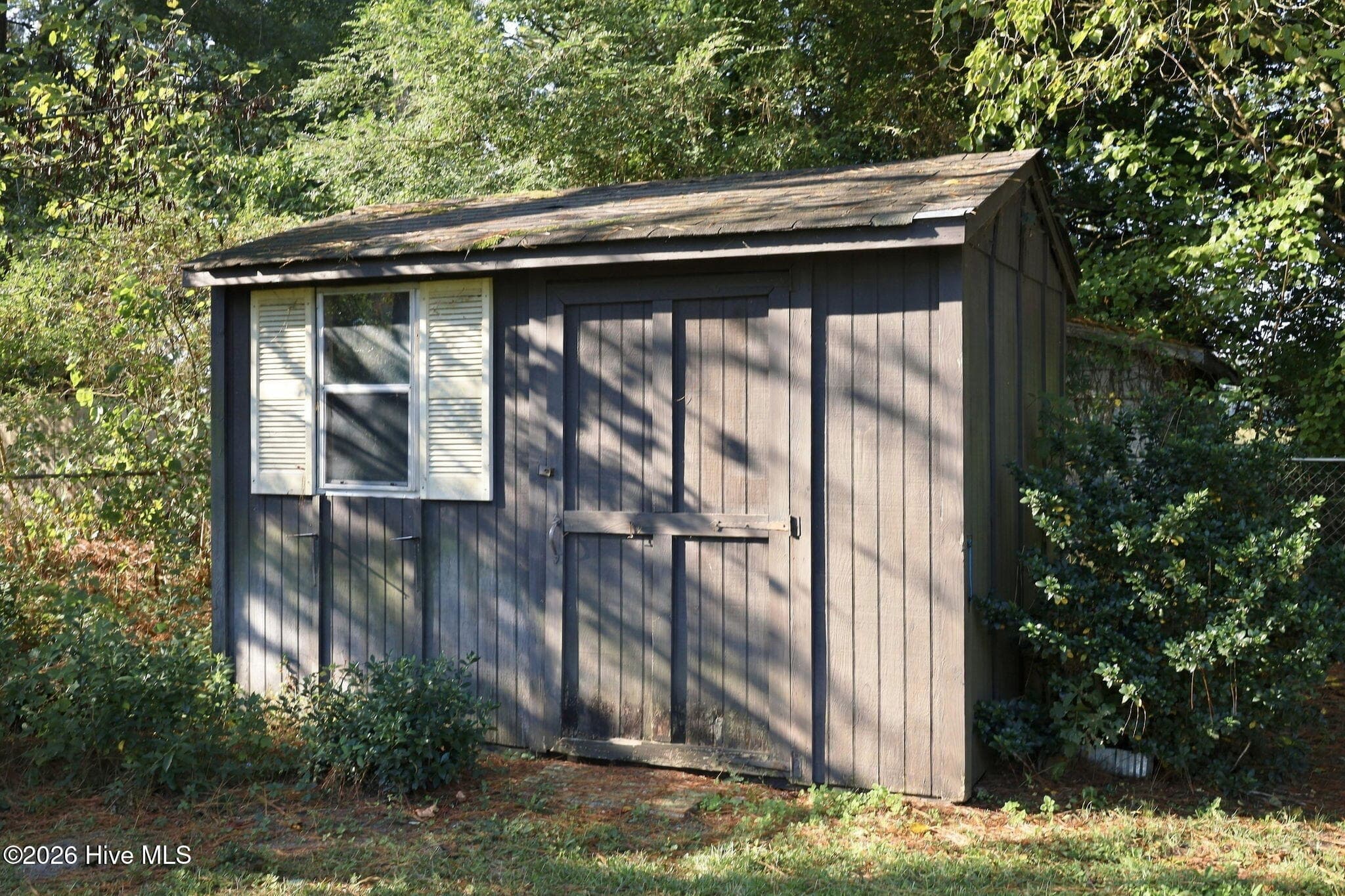 shed - 109 Hardee Street, Greenville, NC 27858