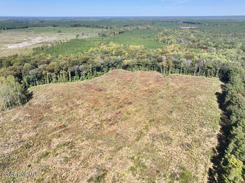 Mixed Use at 0 Spring Hill Road, Scotland Neck, NC 27874, photo 32 of 93