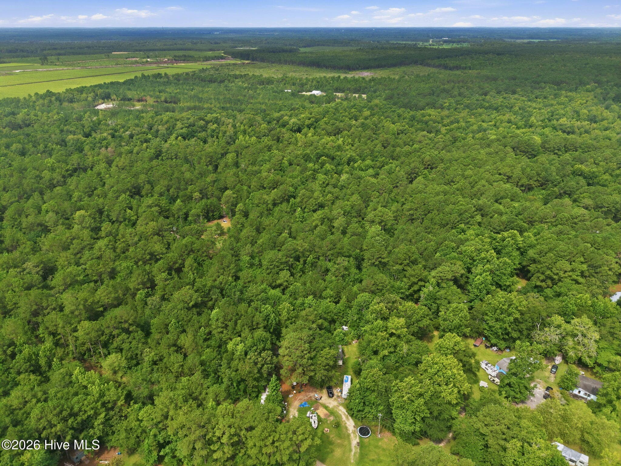 Undeveloped at 0 Copperhead Lane, Burgaw, NC 28425, photo 8 of 24