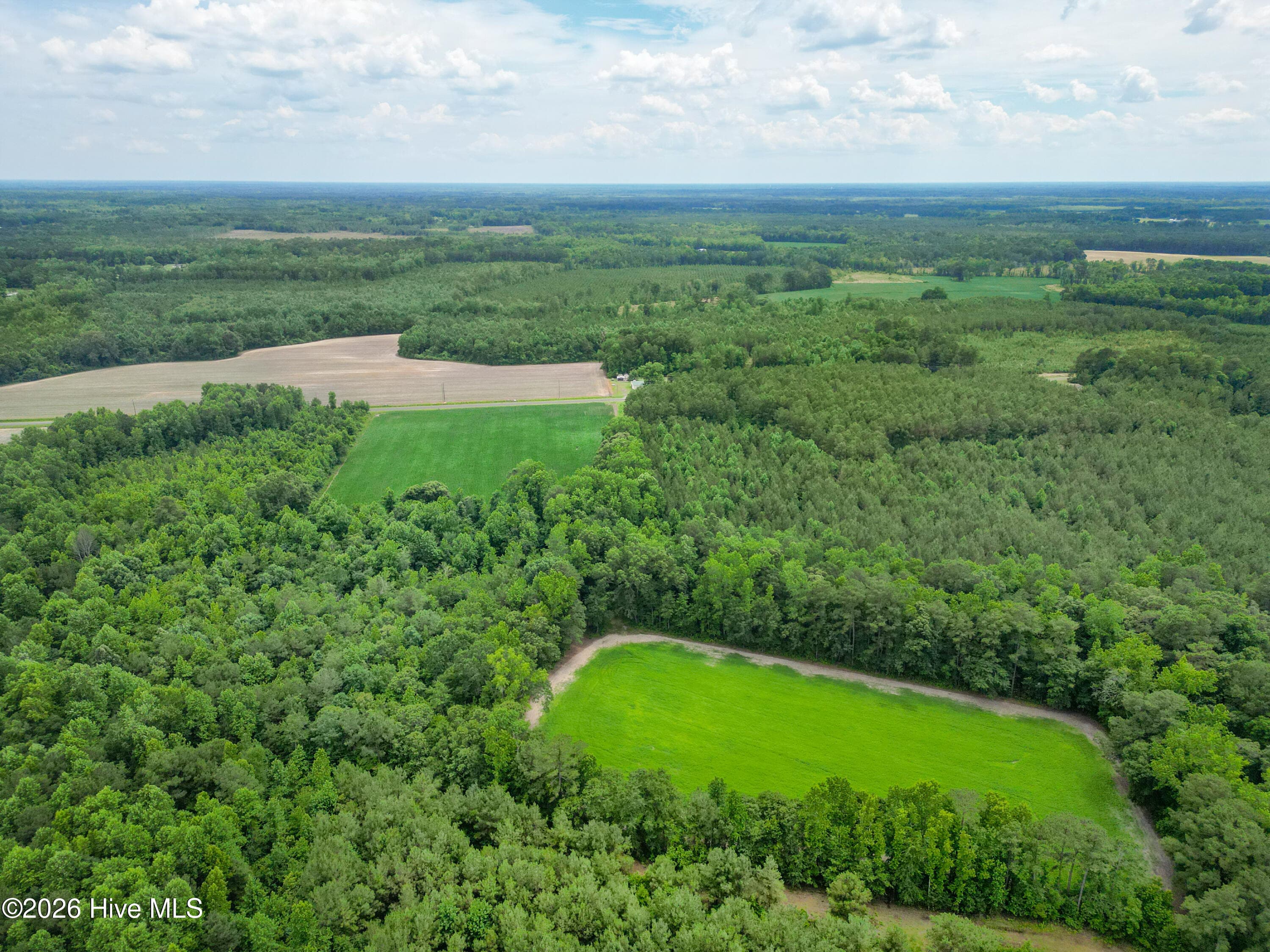 Residential Lot at Tbd Farmers Union Road, Clarkton, NC 28433, photo 2 of 2