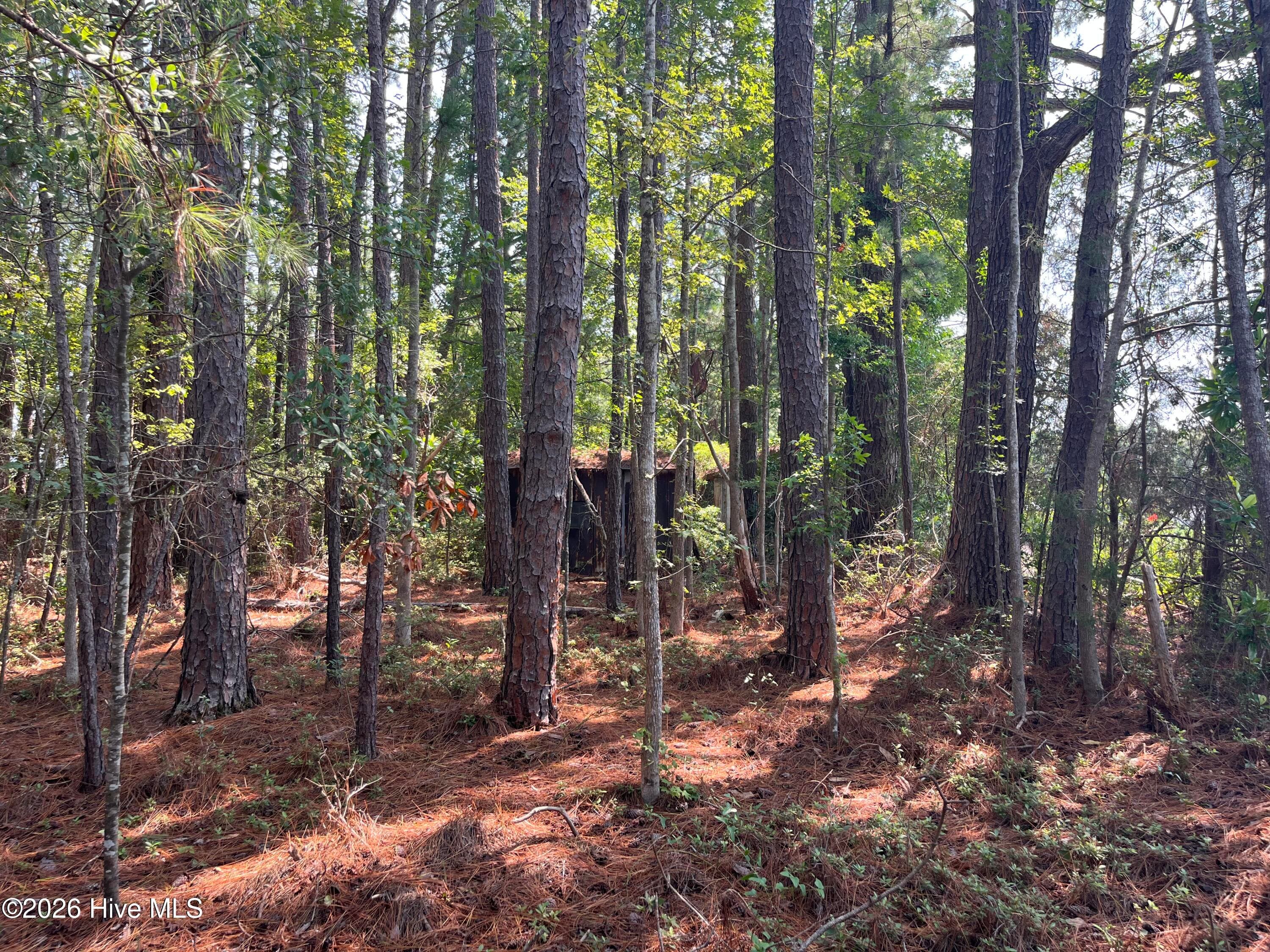 Residential Lot at 94 Whortonsville Road, Merritt, NC 28556, photo 10 of 11