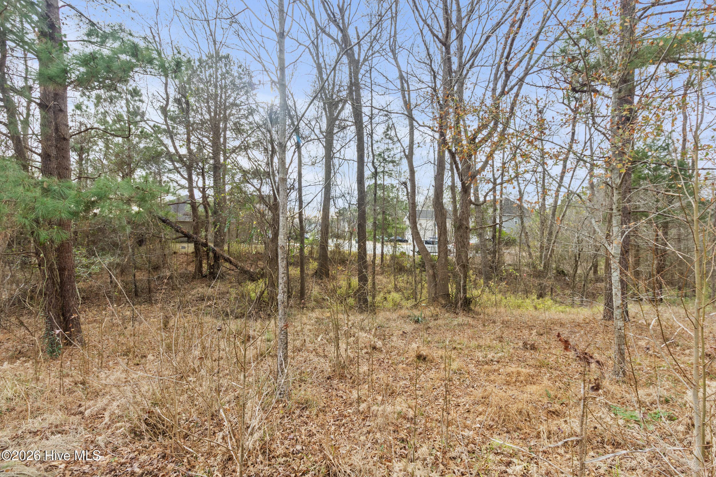 Undeveloped at 2711 Old Airport Road, New Bern, NC 28562, photo 19 of 23