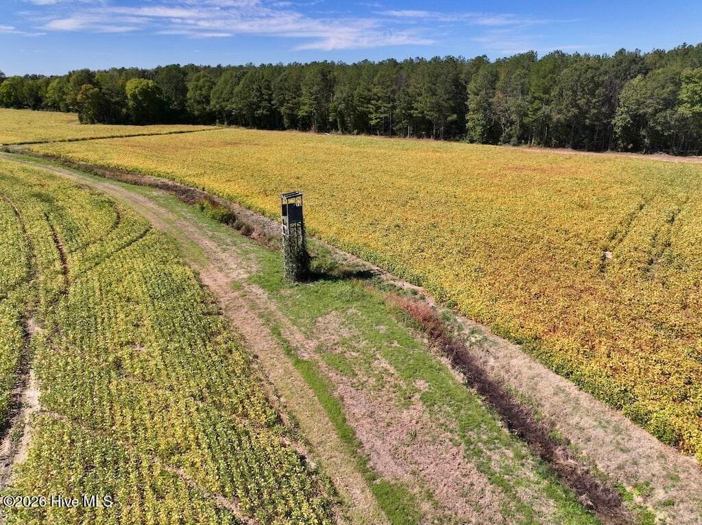 Mixed Use at 0 Spring Hill Road, Scotland Neck, NC 27874, photo 64 of 93