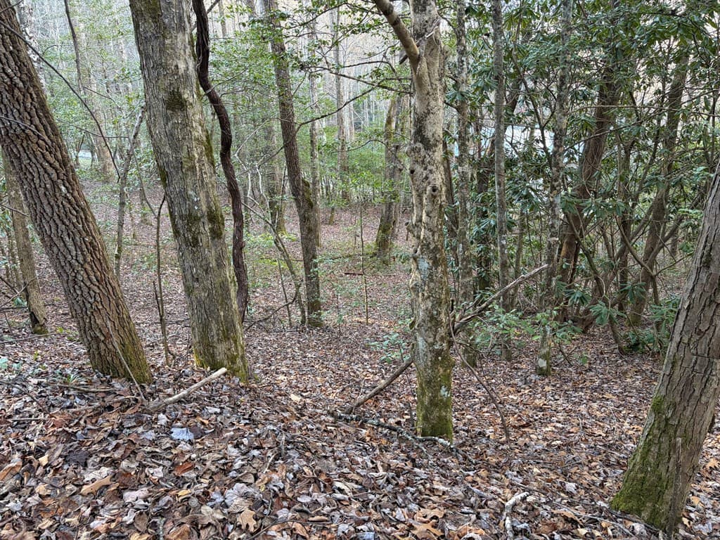 Wooded at 00 23 Old Faber Road, Topton, NC 28781, photo 7 of 10