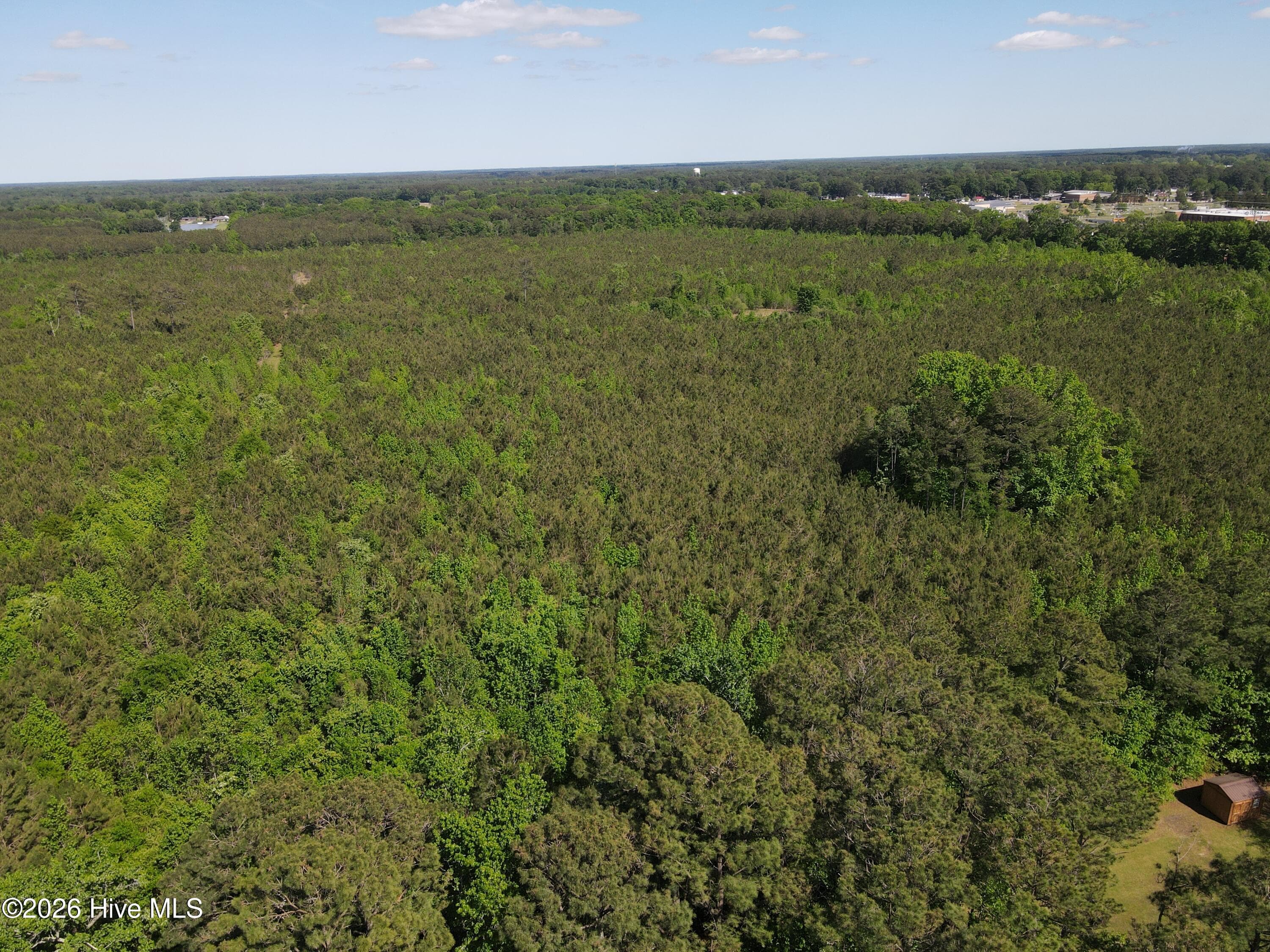 Undeveloped at 0 Colice Hall Lane, Ahoskie, NC 27910, photo 19 of 20