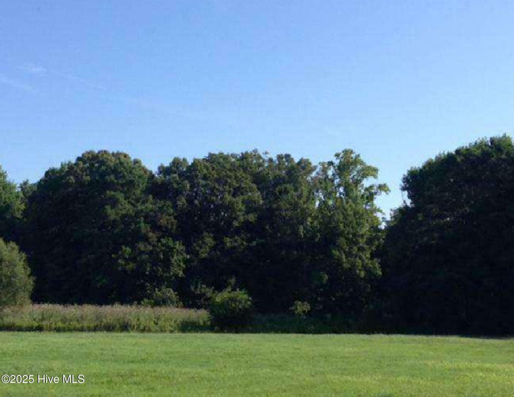 Undeveloped at 327 Acres, Hertford, NC 27944, photo 2 of 3