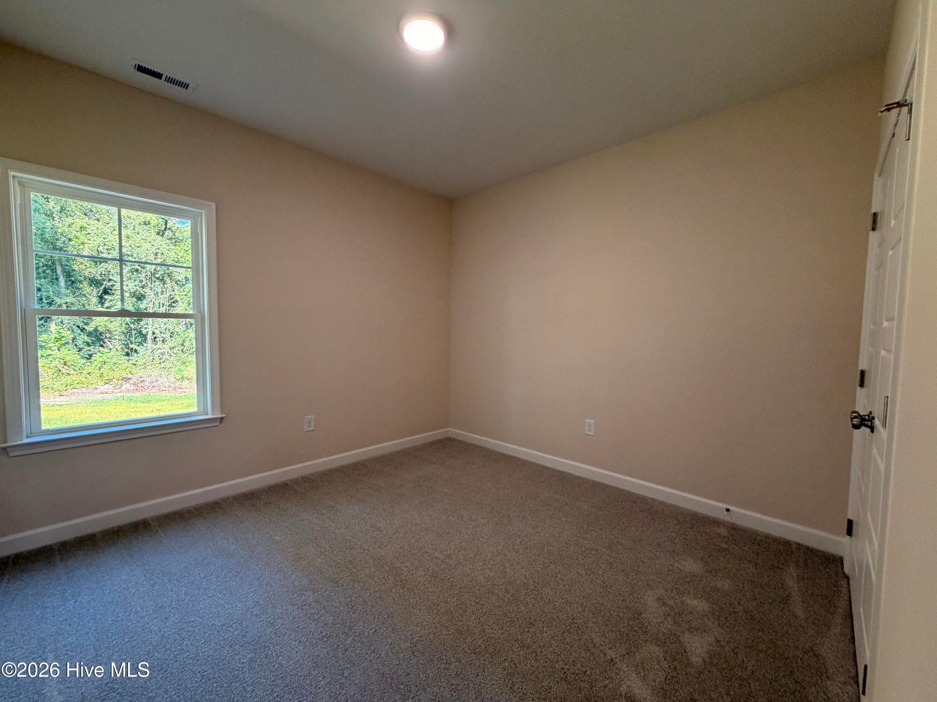 Single Family Residence at 1730 Walnut Run Drive, Deep Run, NC 28525, photo 75 of 156
