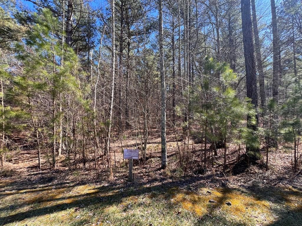 Lot 50 Deyton Drive, Blairsville, GA 30512