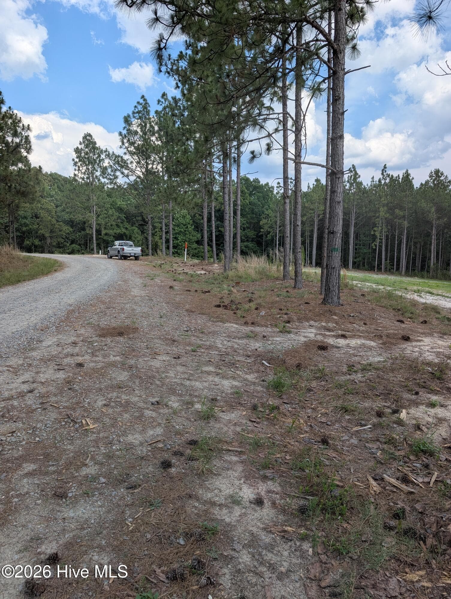 Residential Lot at 270 1-R Charles Road, Eagle Springs, NC 27242, photo 11 of 13