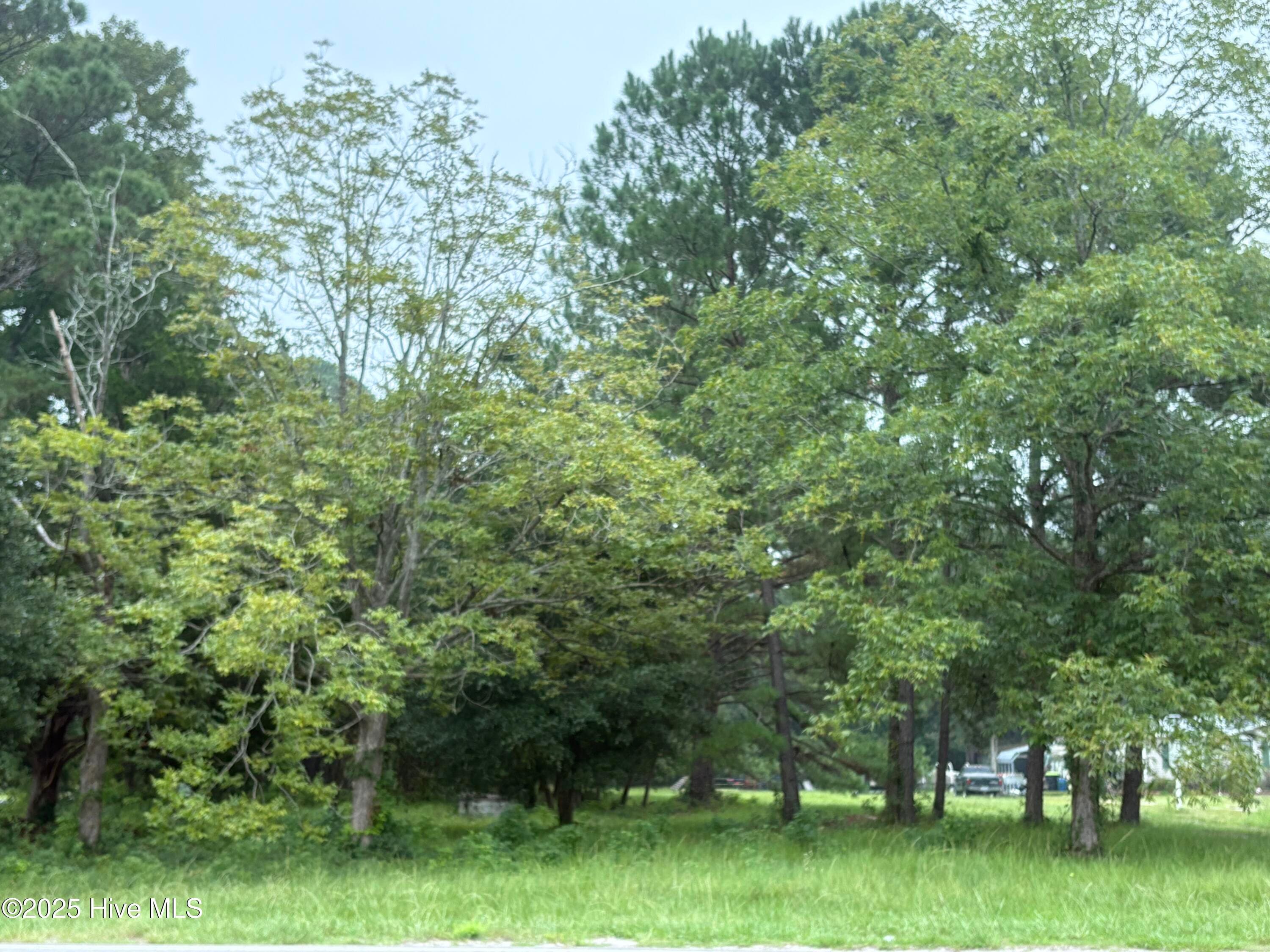 Mixed Use at 917 Bricklanding Road SW, Shallotte, NC 28470, photo 5 of 8