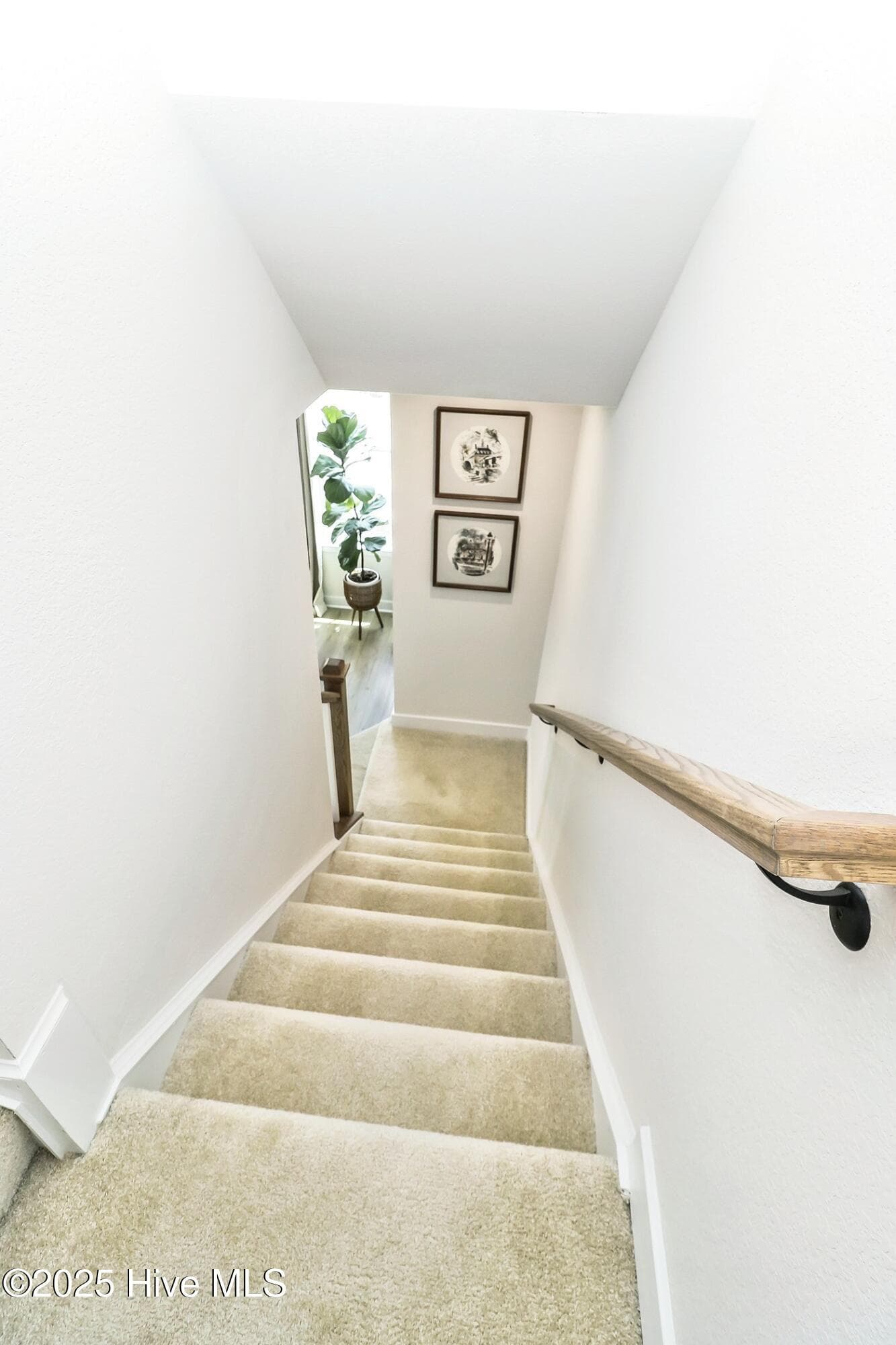 Townhouse at 110 Fost Boulevard, Moyock, NC 27958, photo 29 of 42