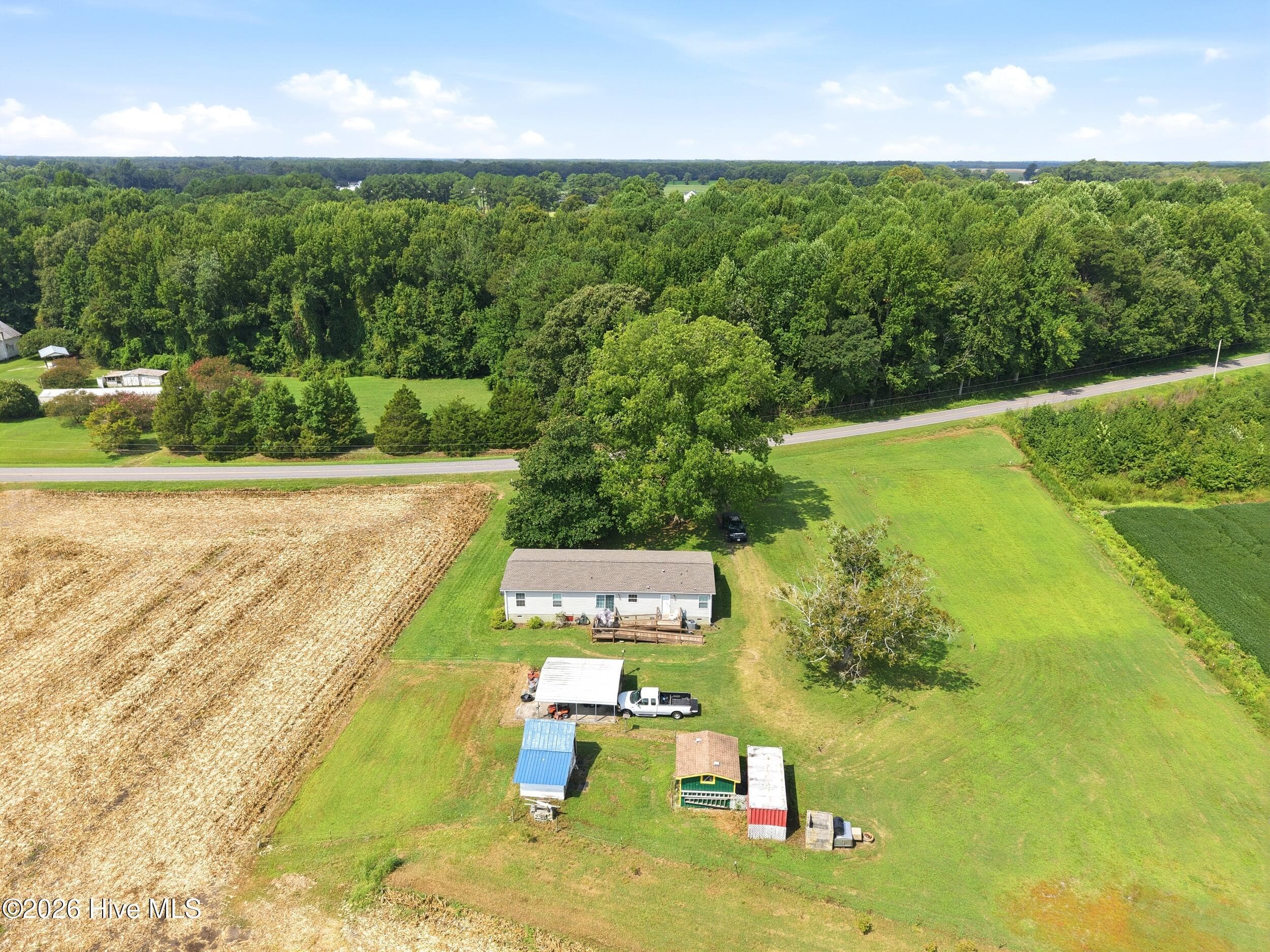 Back of the property - 1230 Beech Springs Road, Tyner, NC 27980