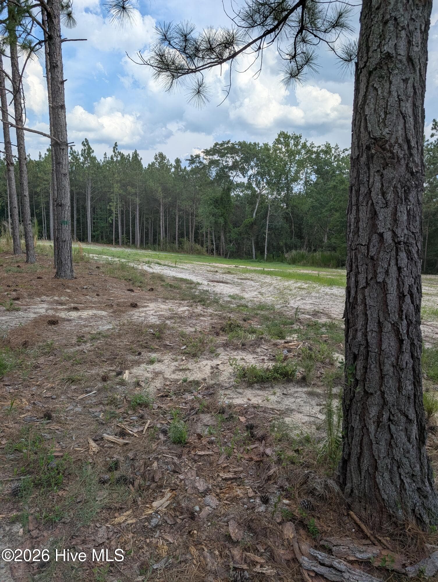 Residential Lot at 270 1-R Charles Road, Eagle Springs, NC 27242, photo 10 of 13